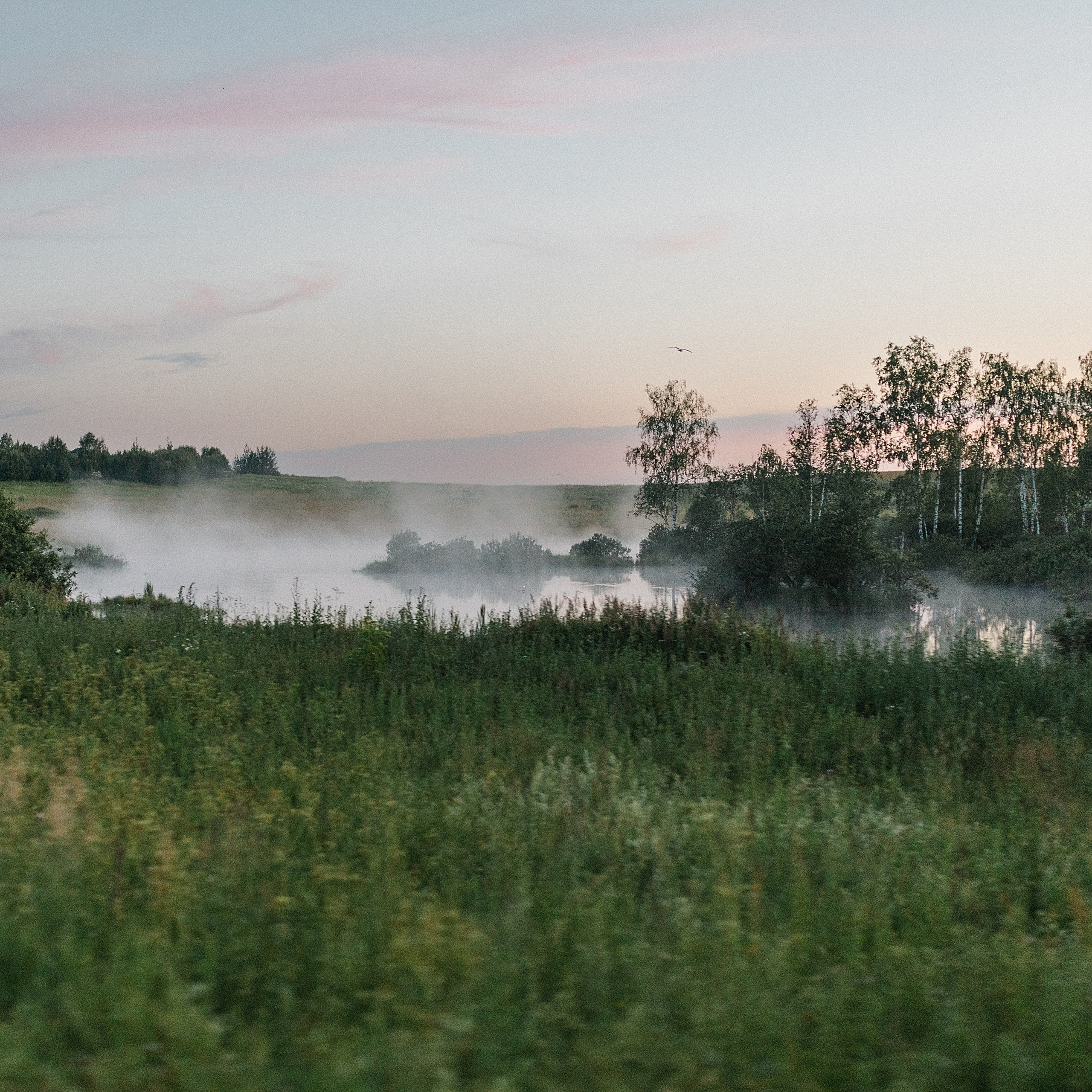 Life. Лена Крутова. Фотограф в Москве
