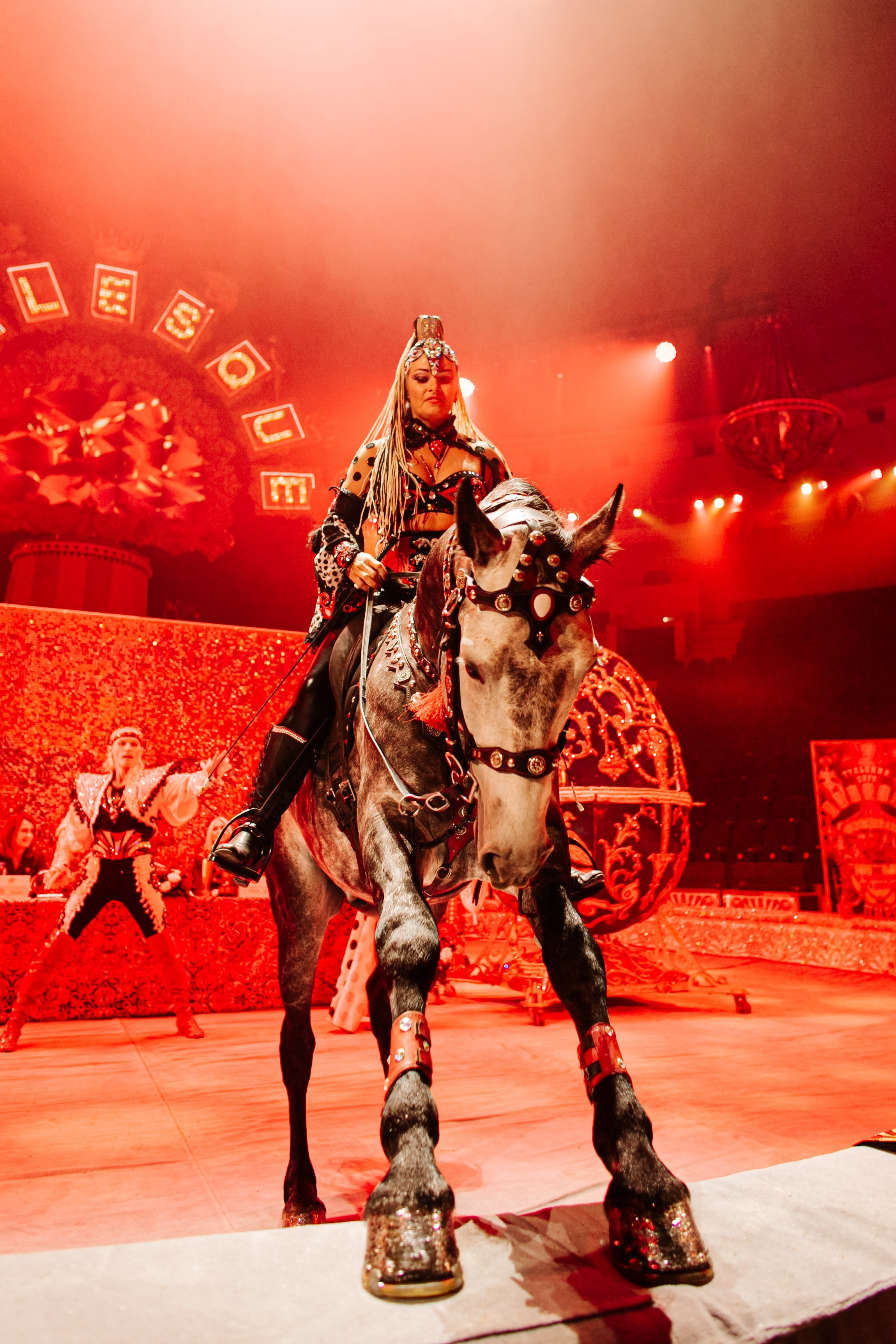 «Королевский цирк Гии Эрадзе» премьера и конференция. Команда фотографов