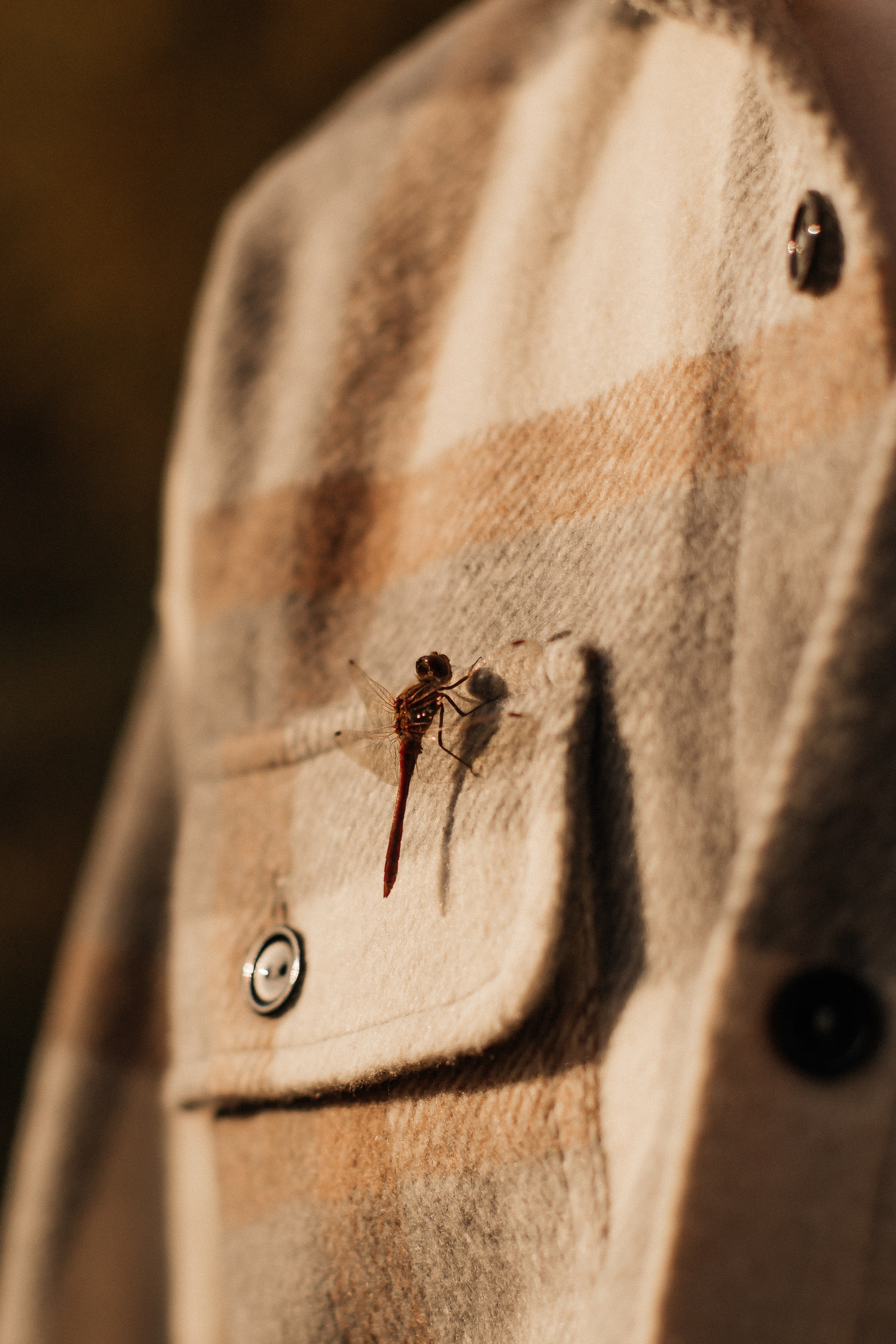 Осенняя прогулка. Свадебный и семейный фотограф в Иркутске