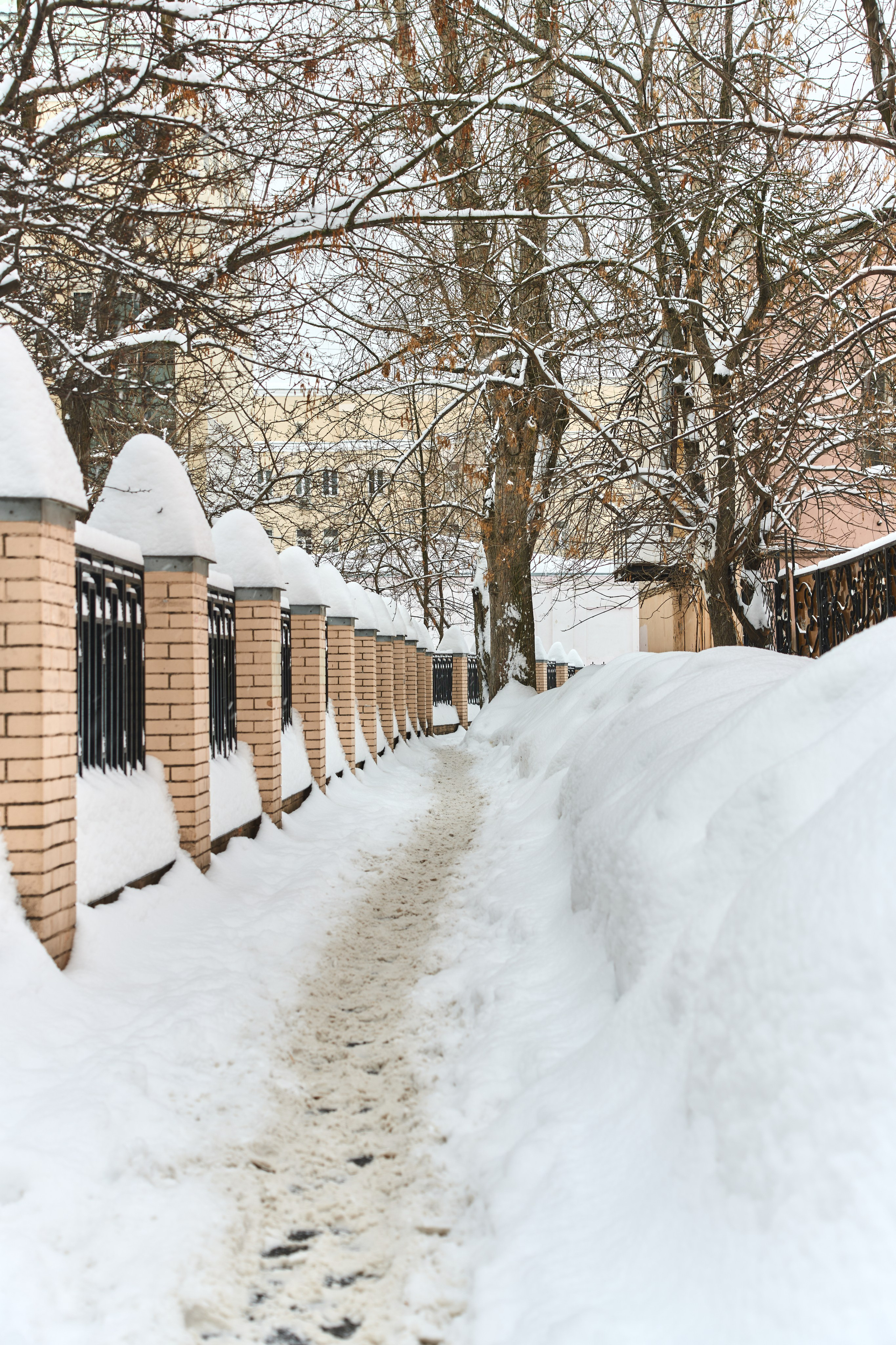 Москва | Зима 2025-206. GLAR