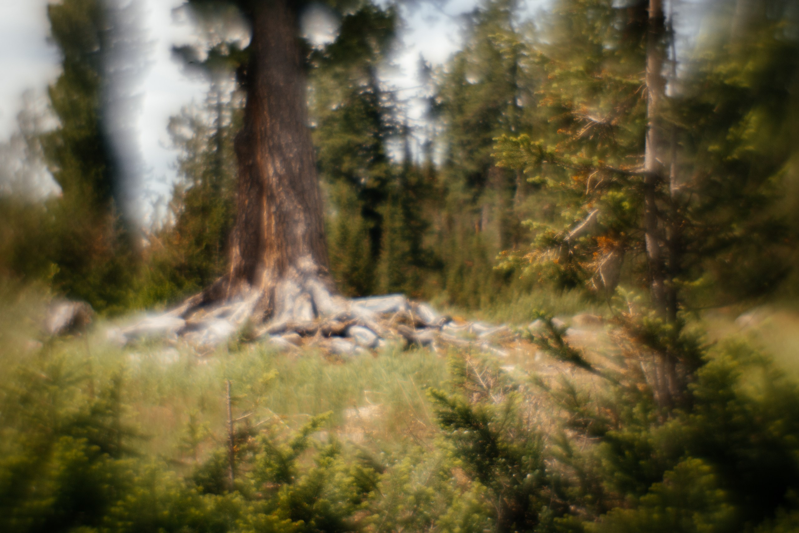 Ловец снов. Фотограф в Красноярске Оксана Корчагина