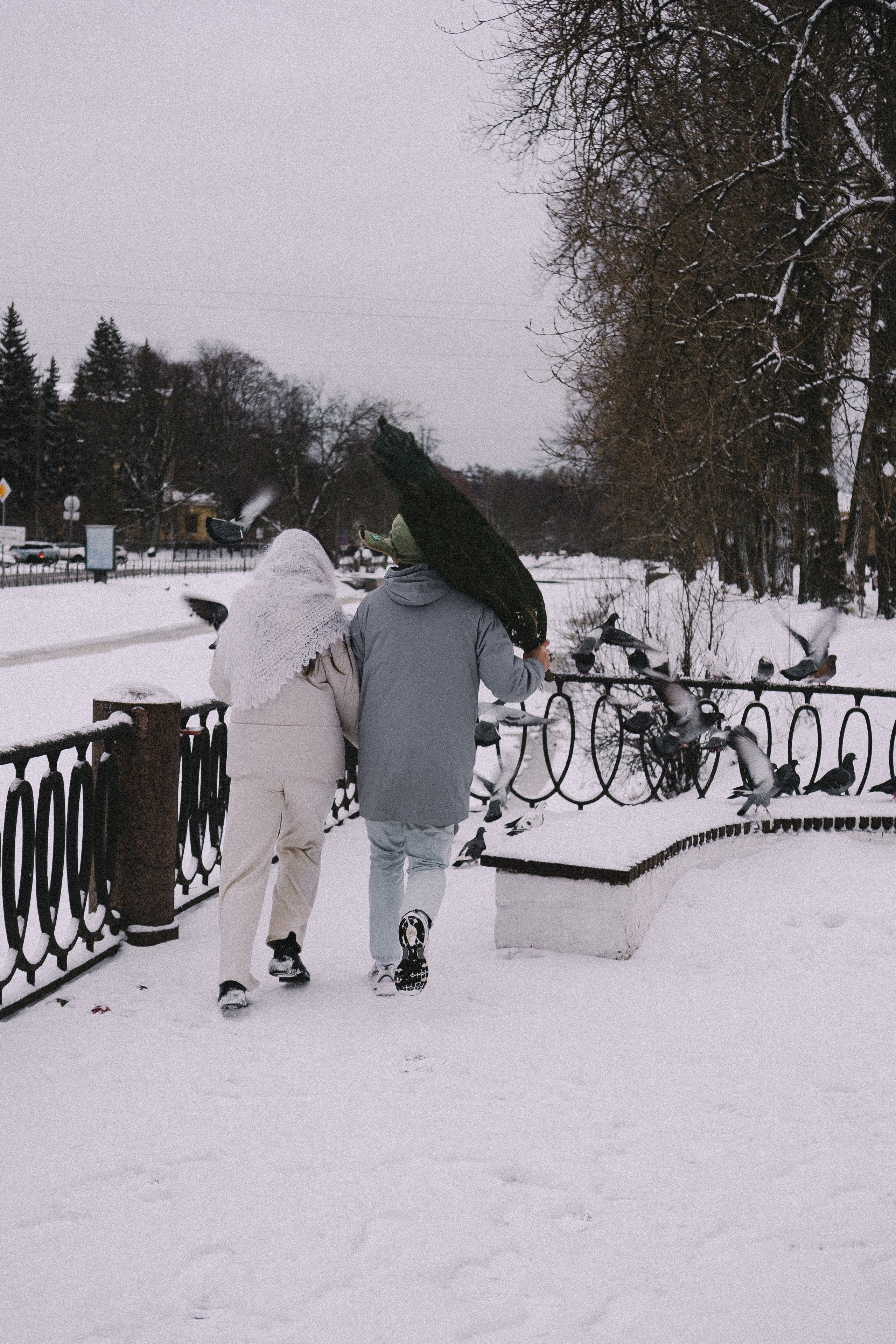 Зимняя история. Профессиональный фотограф, Санкт-Петербург — Виктория Богомолова