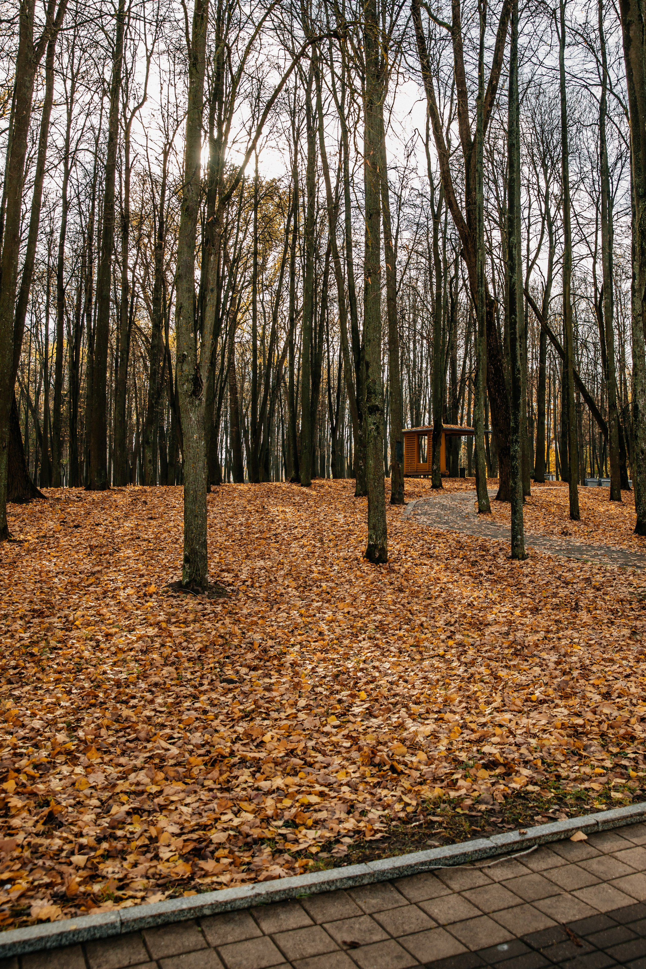 Мария, Павел, Даша, Арина и Миша — семейная фотосессия. Семейный и свадебный фотограф Минск, Барановичи Ольга Пахомова