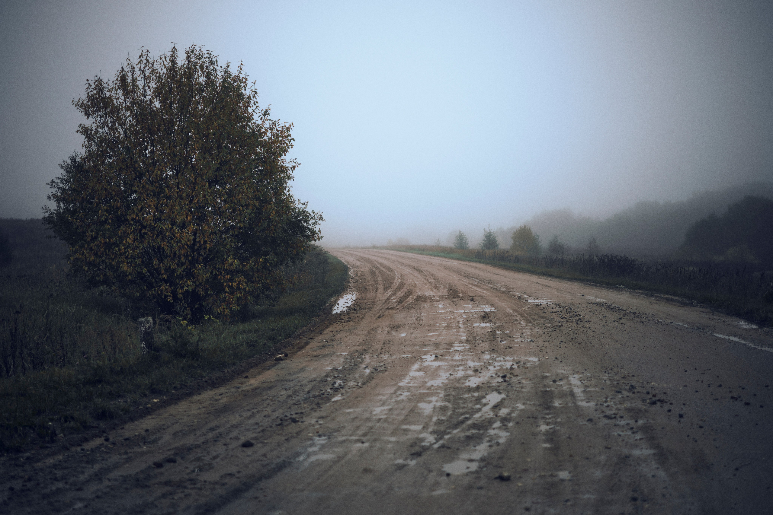 Other. Dmitry Ippolitov