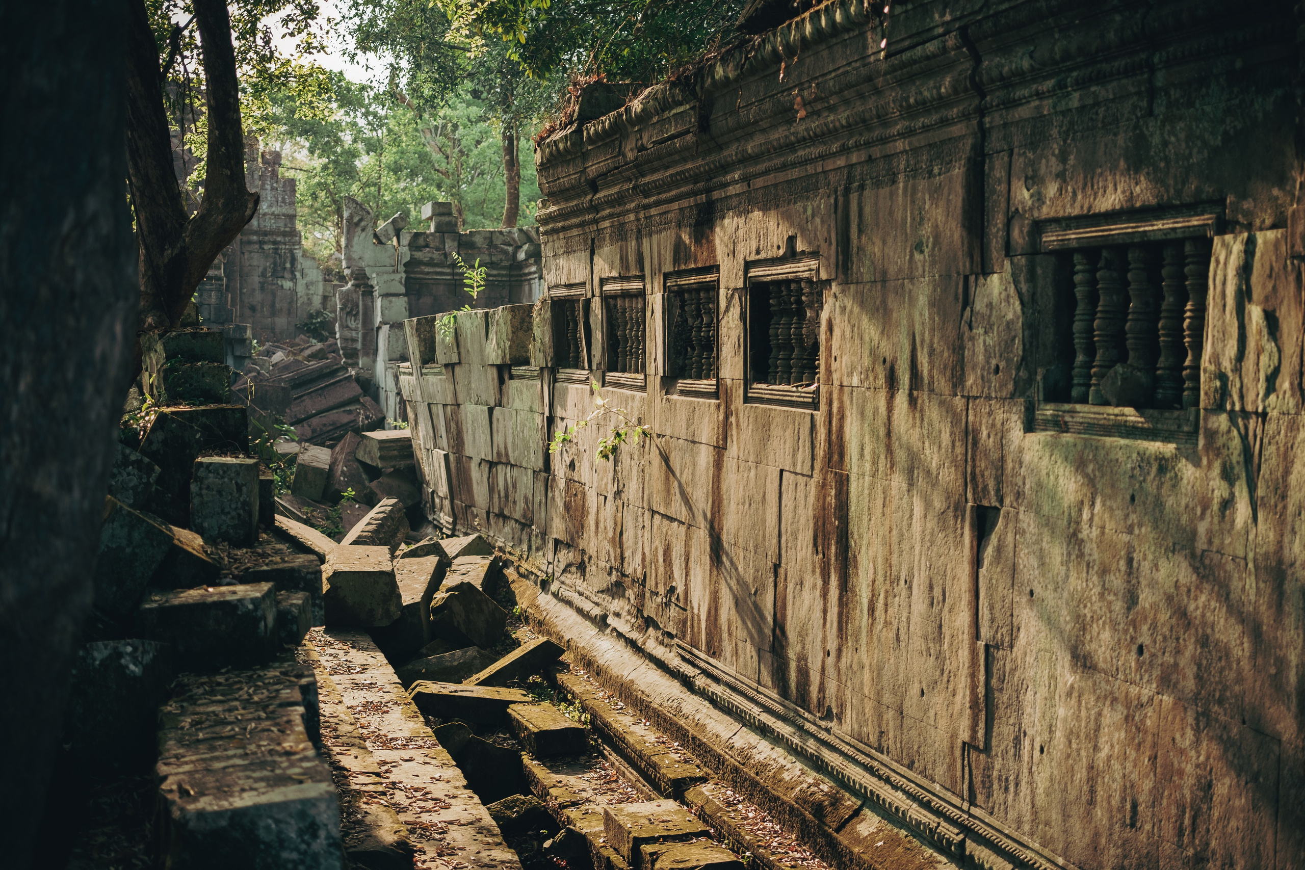 Cambodia. Dmitry Ippolitov