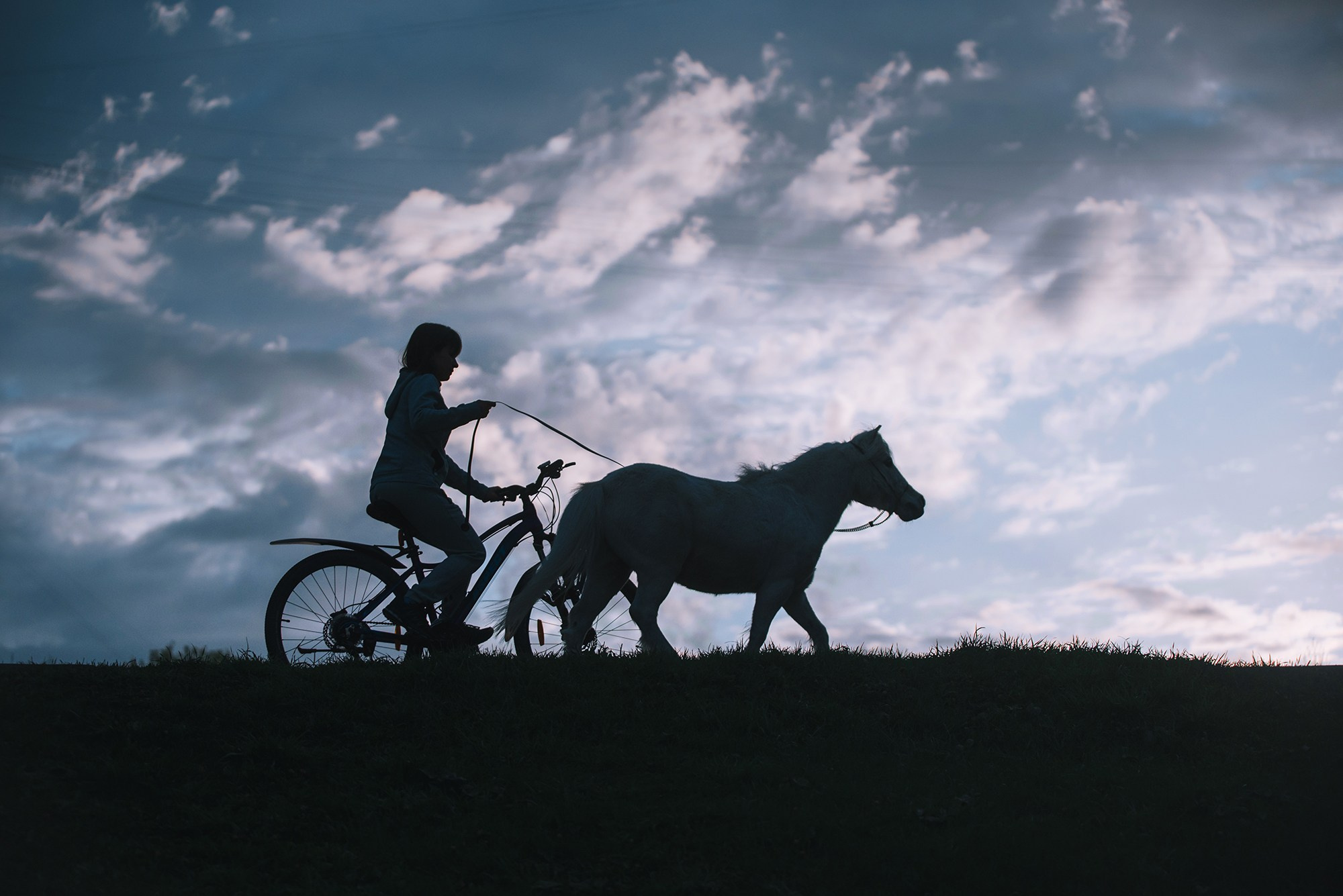 Человек и его друзья. Фотограф Анна Тюрина