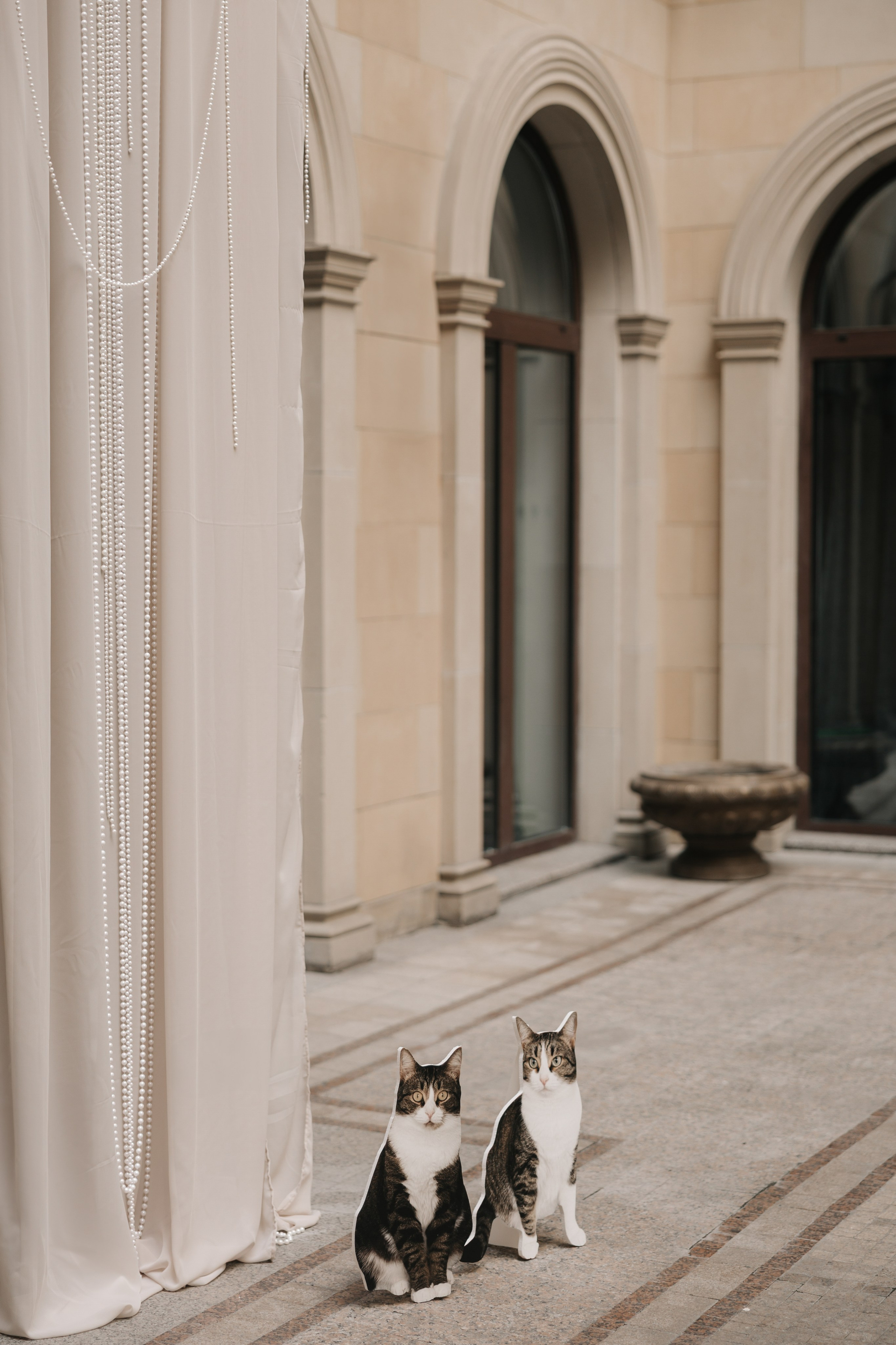 Без кота и жизнь не та. Свадебный фотограф Москва Мотеюнайте Виктория