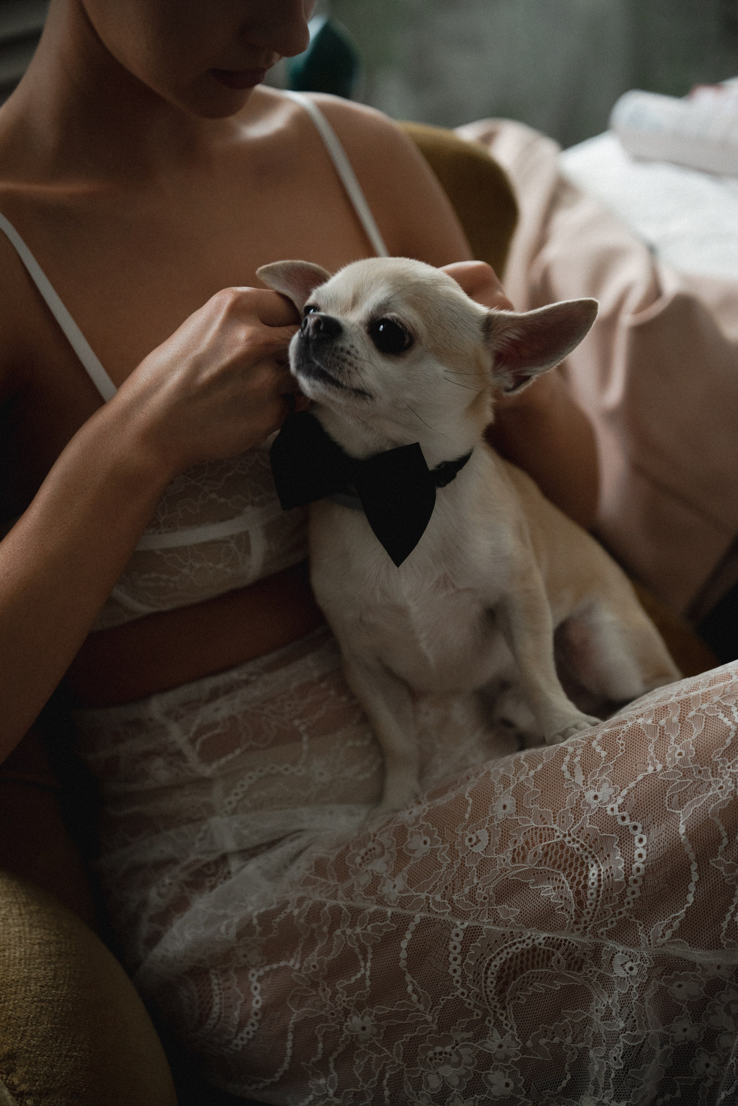 Екатерина и Даниил. Семейный и свадебный фотограф в Ярославле Кропина Инна