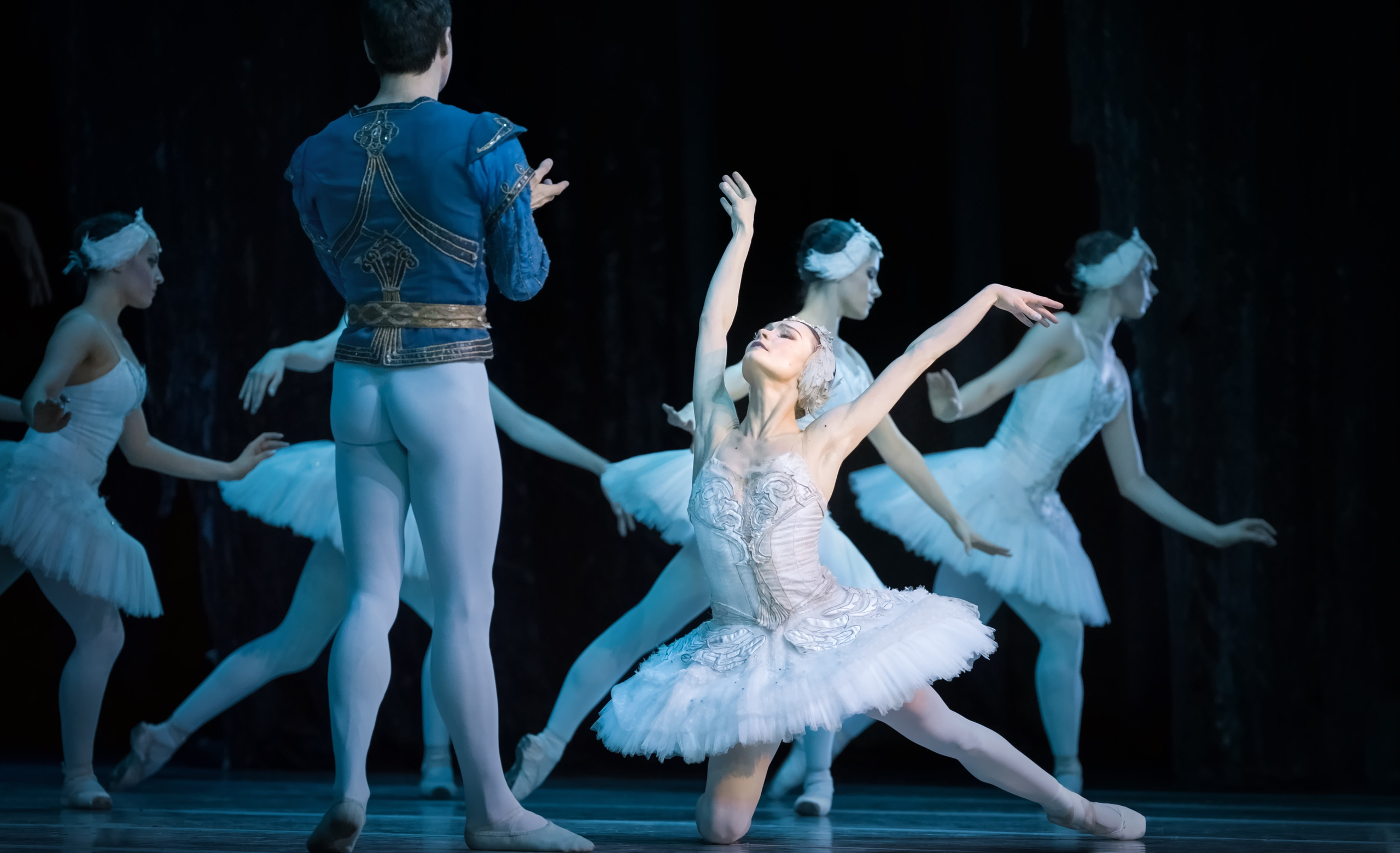 Лебединое озеро. Балет Наталии Касаткиной и Владимира Василёва. Балетный фотограф Москва Майоров Николай