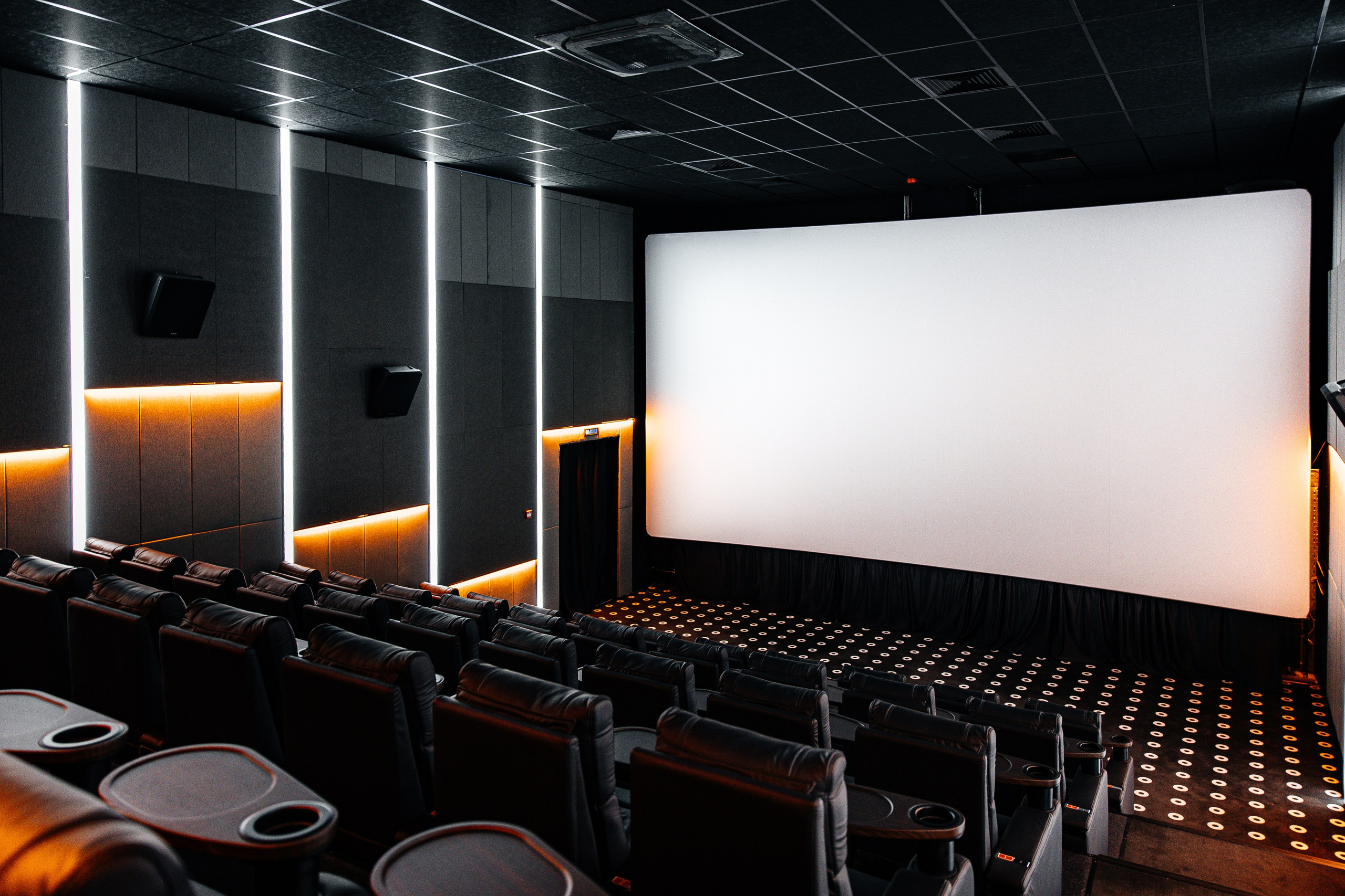 Кинотеатр Другар. Самый свадебный фотограф