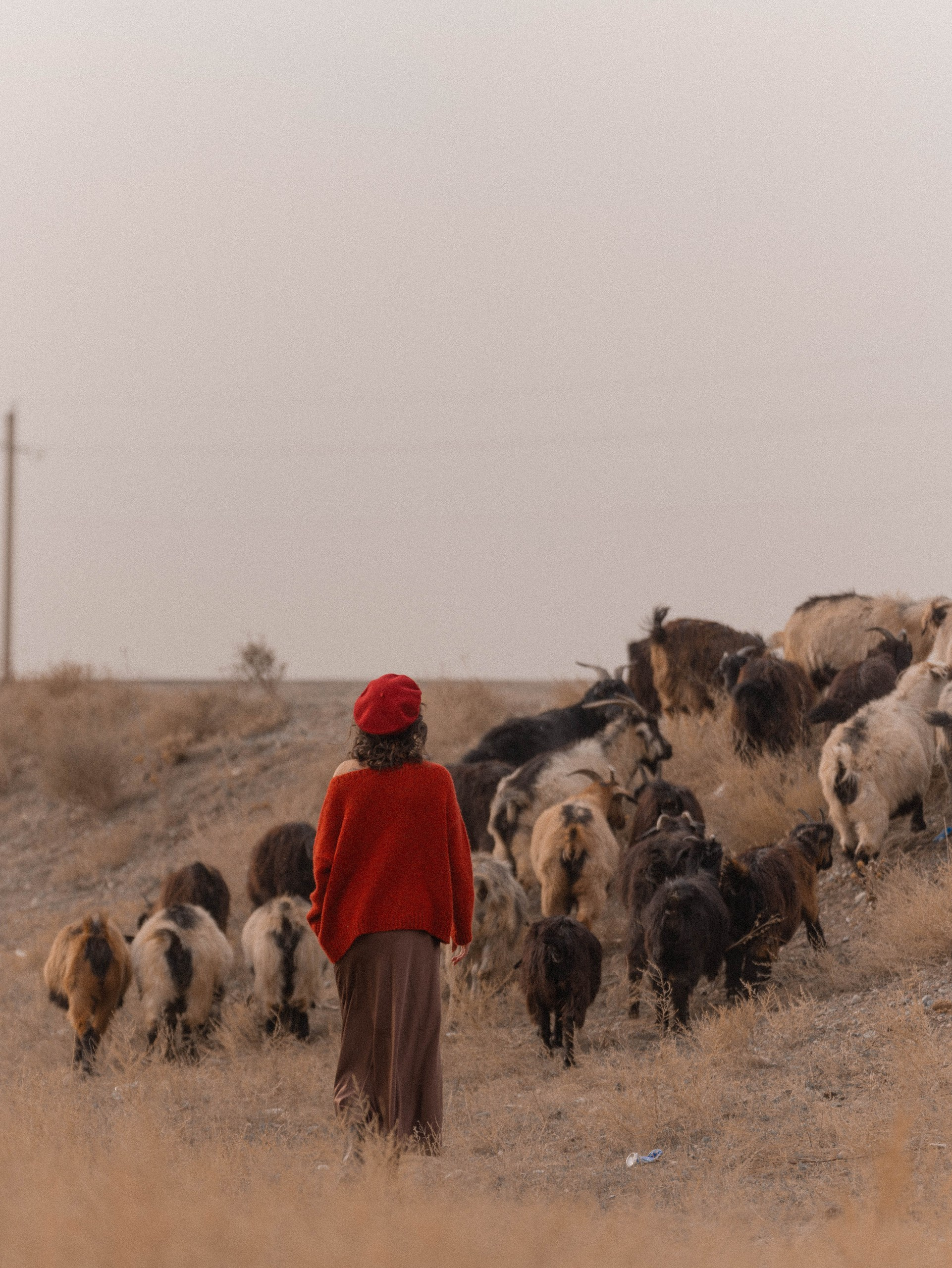 Женский портрет. Репортажный фотограф в Алматы Цой Сергей