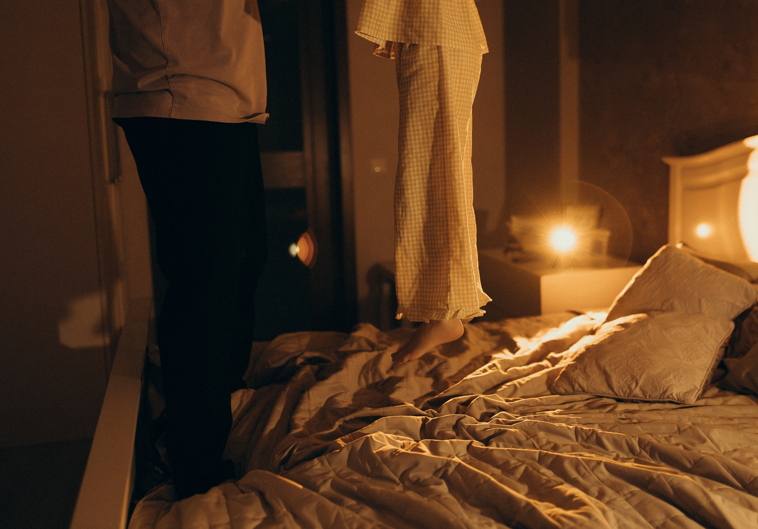 Домашняя история. Meryfotoidea