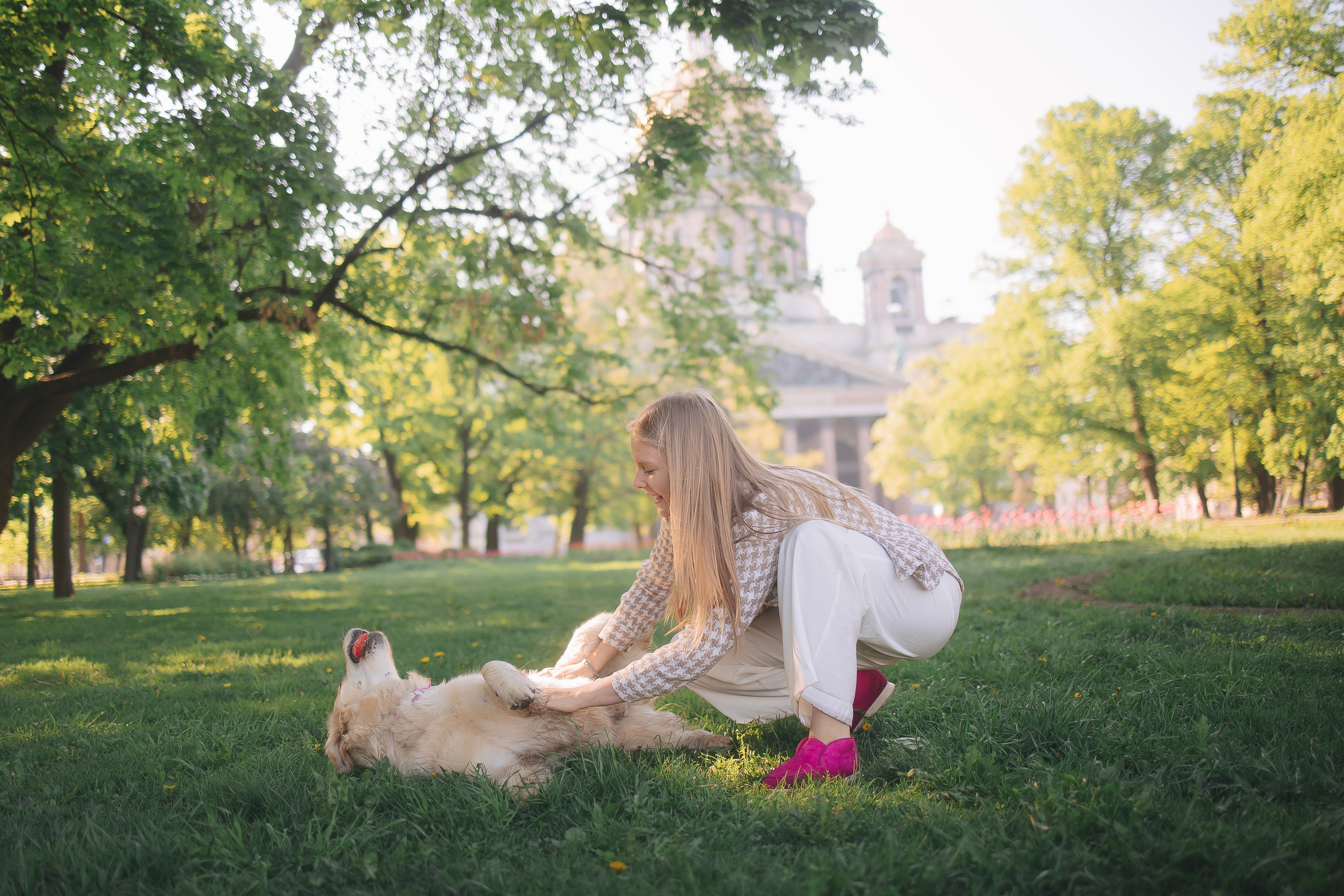 Золотистый ретривер Мона, Питер. Свадебный и женский фотограф