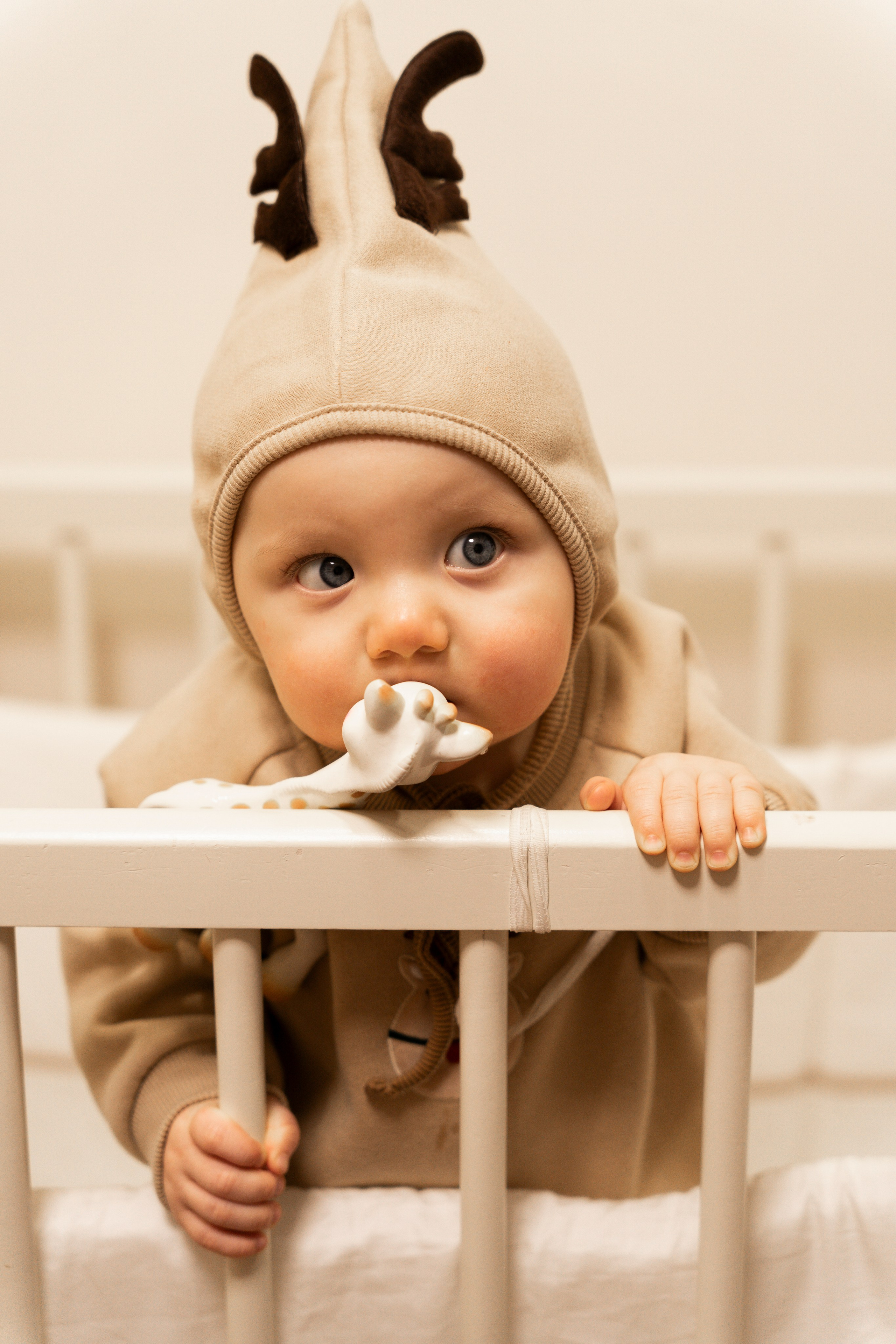 Новогодние тройняшки. Главная