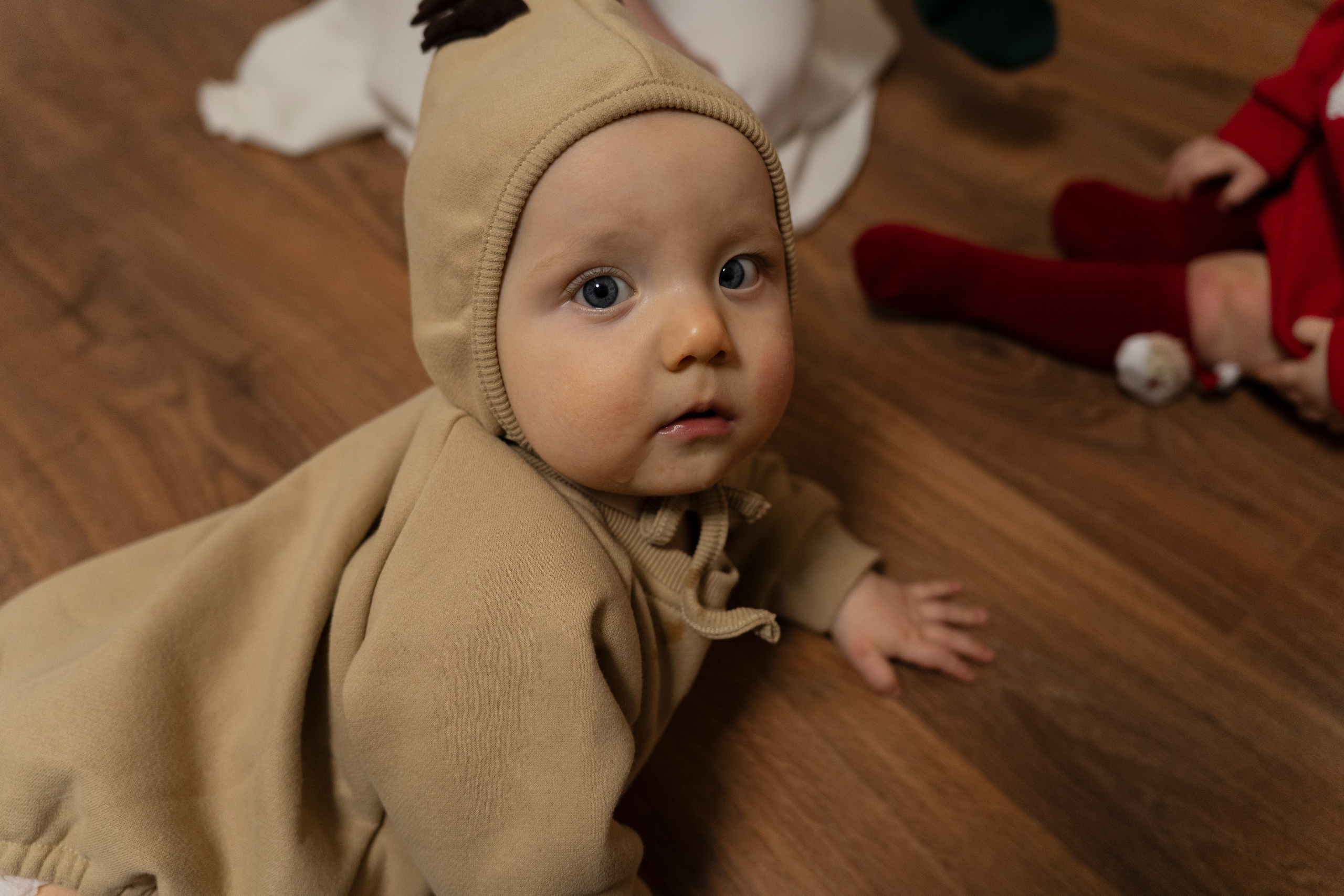 Новогодние тройняшки. Главная