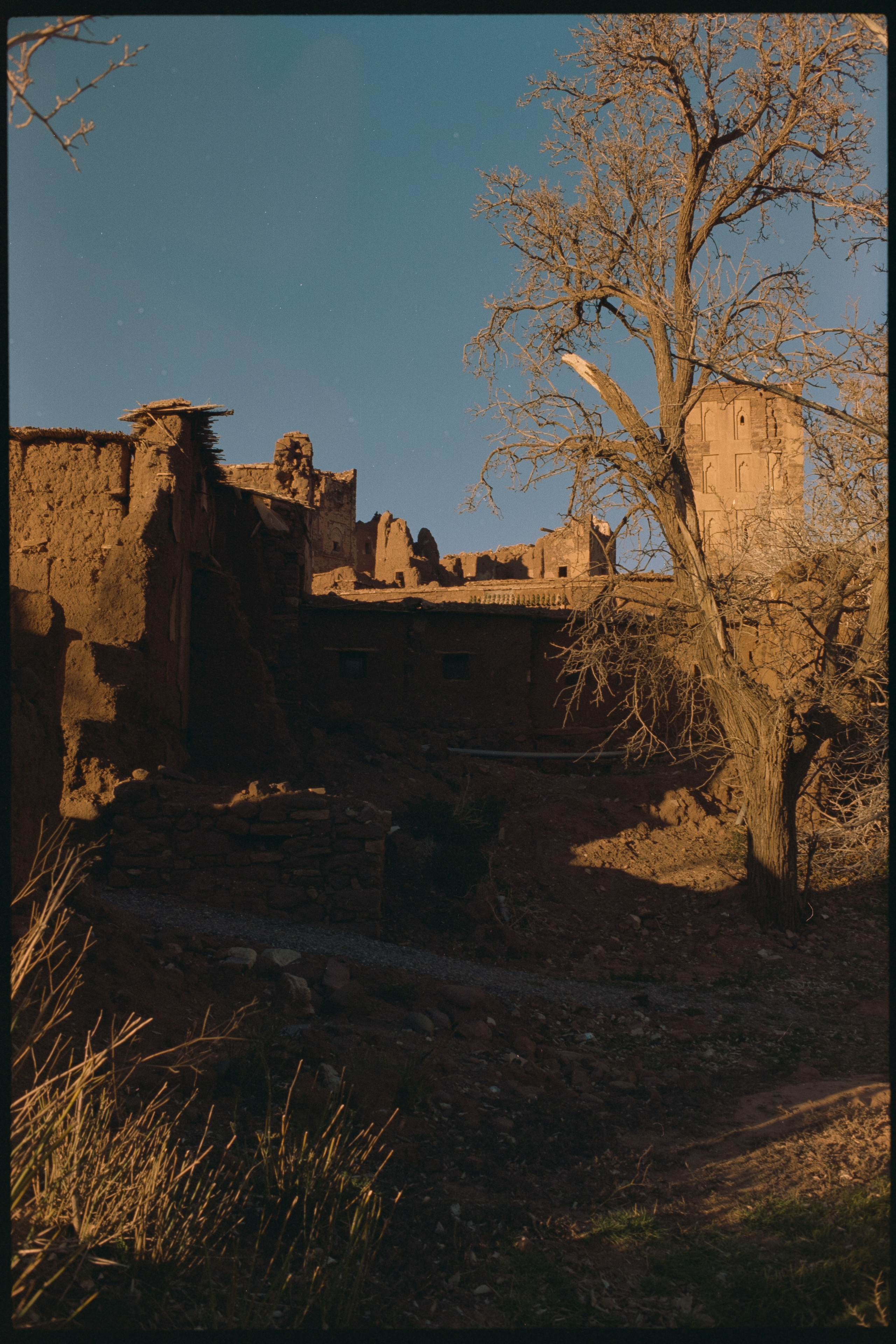 Марокко (плёнка Алёны). Игорь Гичка. Портрет с любовью