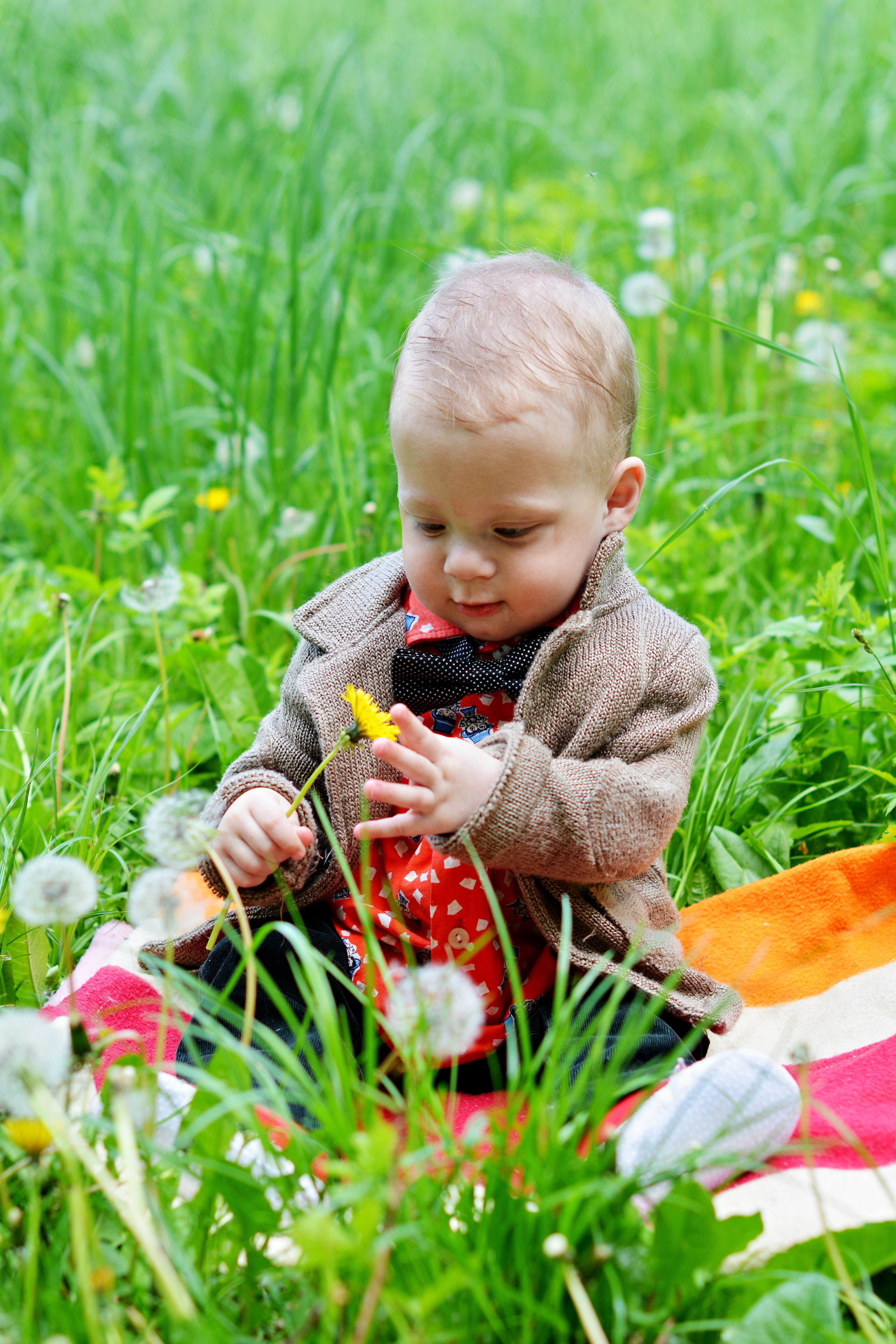 Семейная фотопрогулка в Дендрарии. Свадебный и семейный фотограф в Ростове-на-Дону Буткова З
