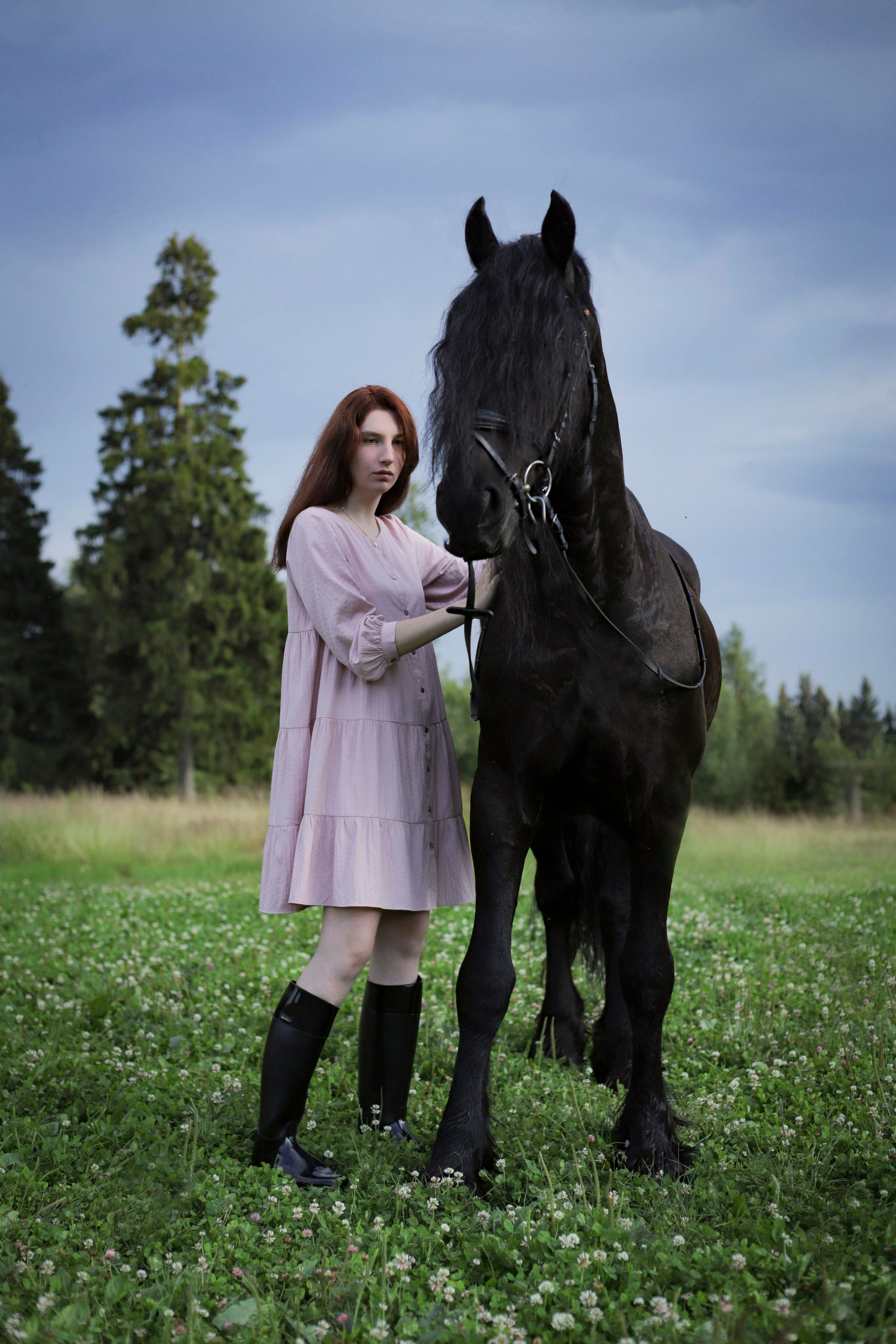 История с лошадью. Фотограф Москва Мытищи Фрязино