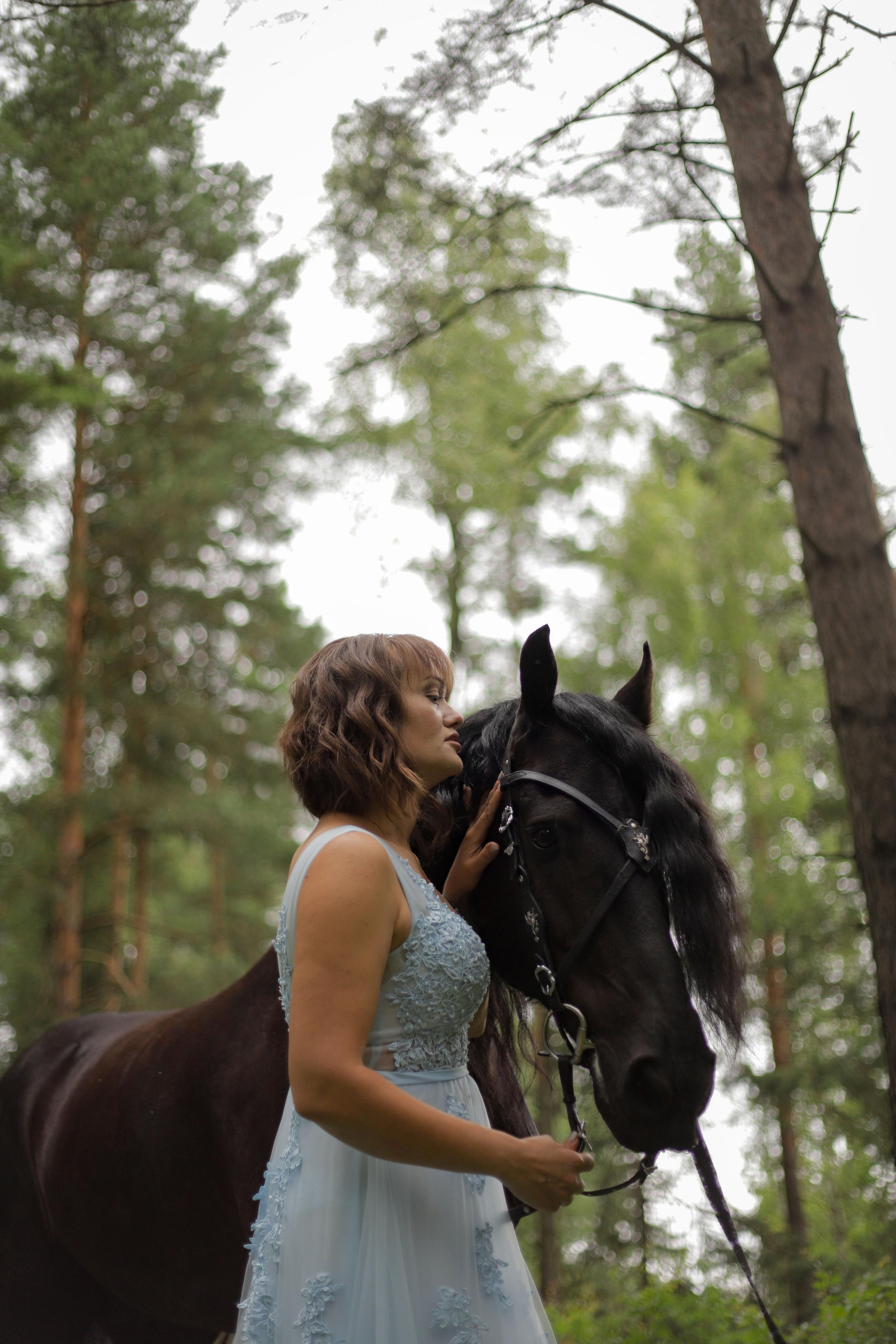 История с лошадью. Фотограф Москва Мытищи Фрязино