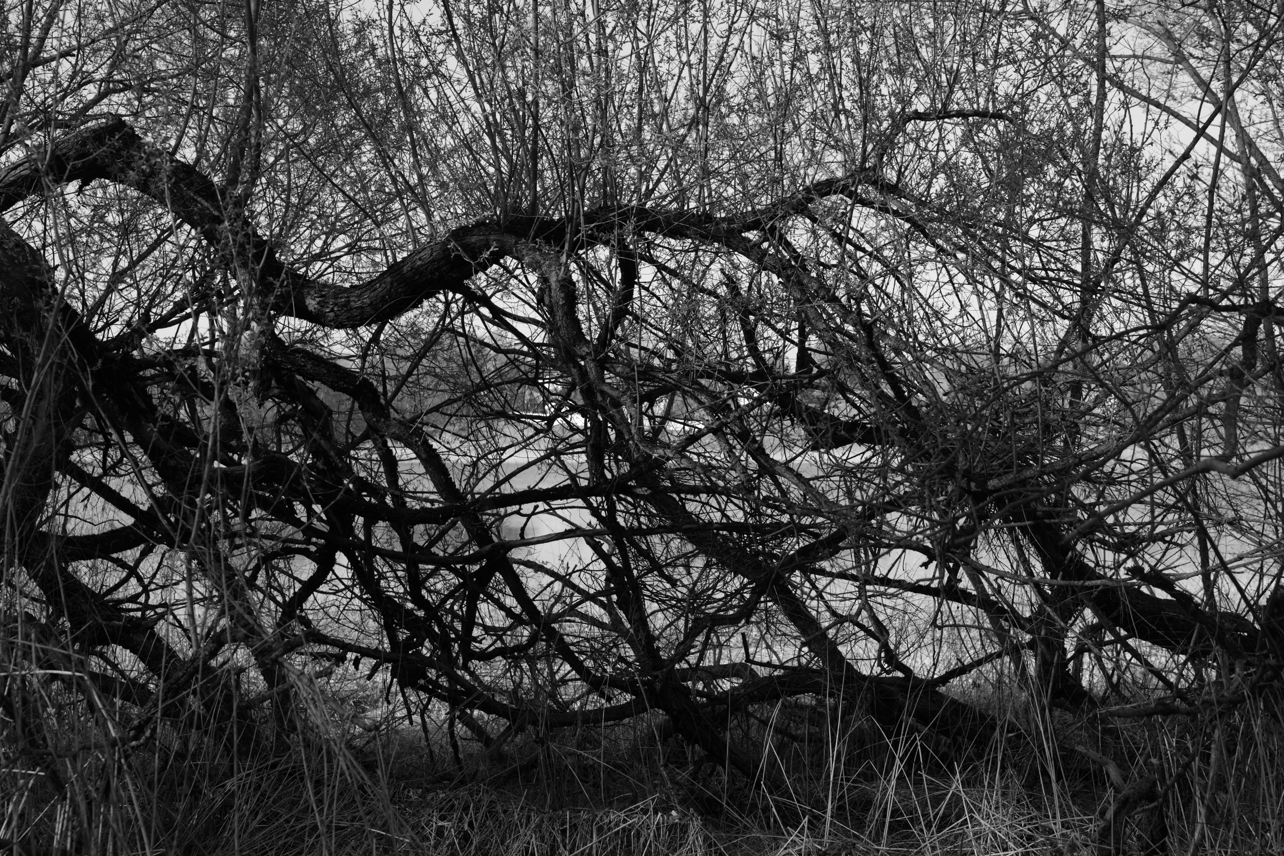 Точка сборки | The assembly point. Фотограф алина стерхова, алина стерхова фотограф, фотограф москва