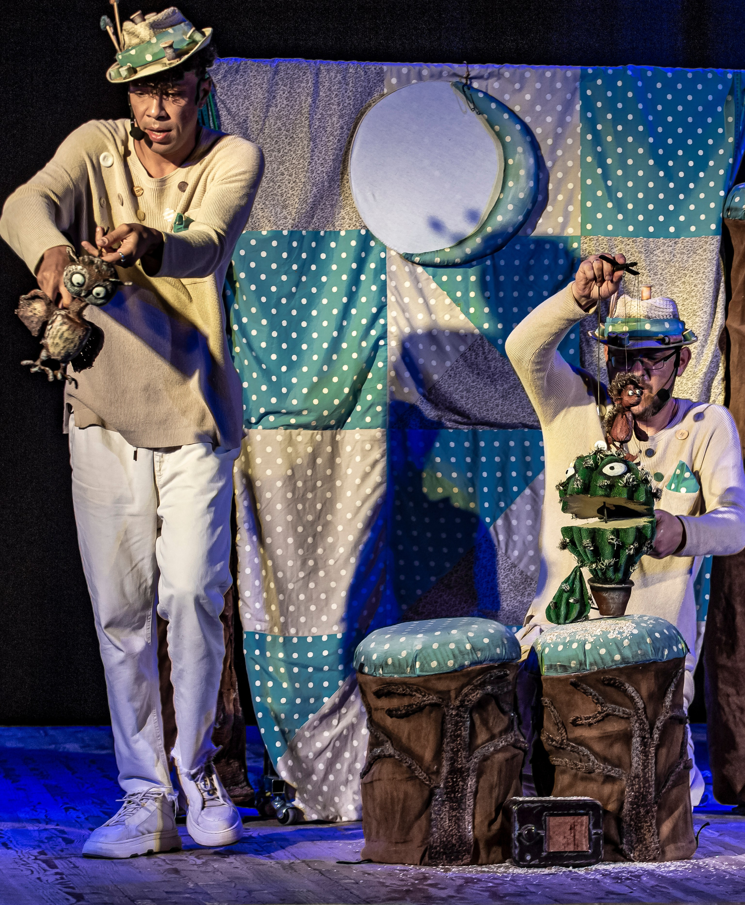 Колючая сказка. Фотограф в Сочи Юрий Шептаев