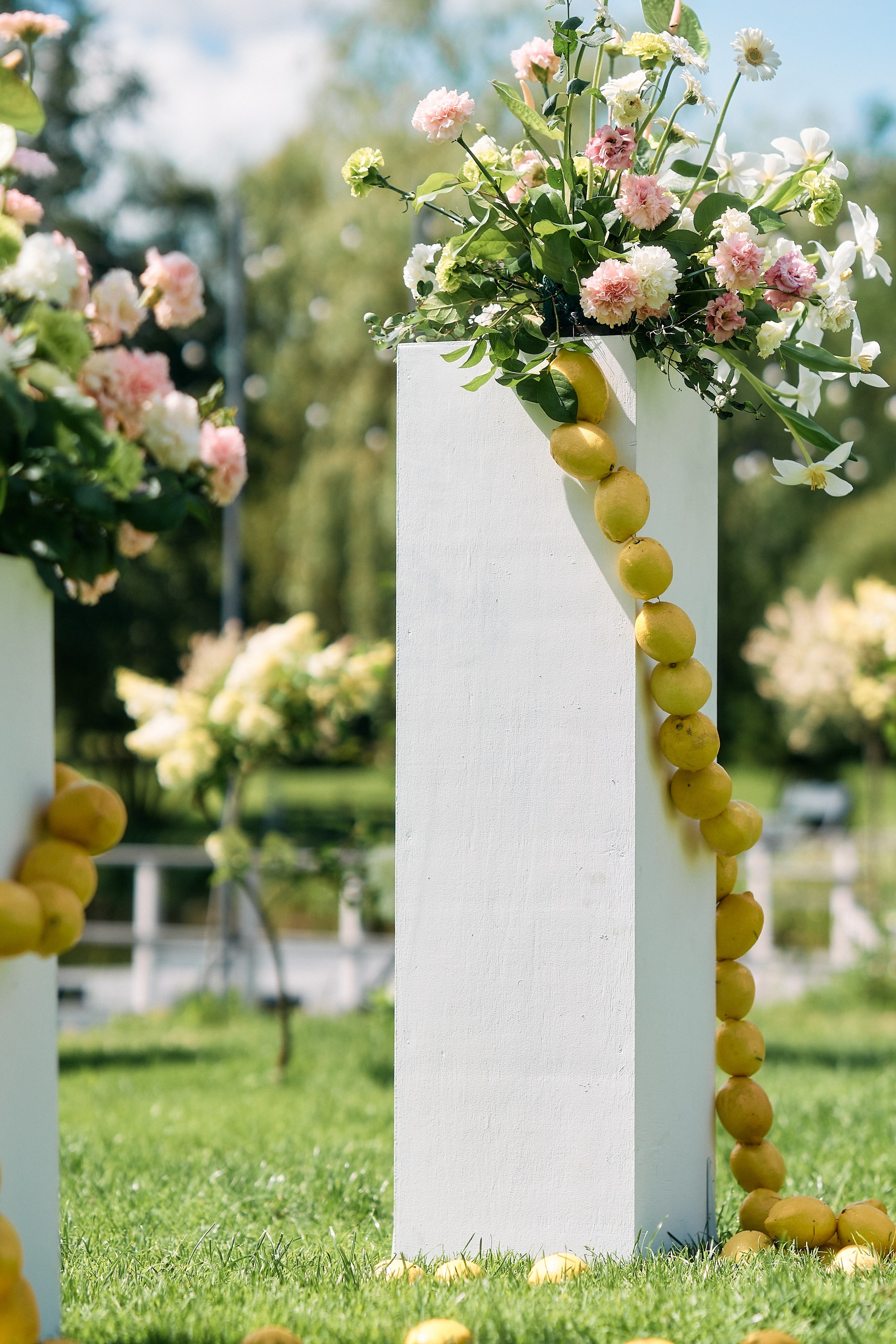 Виталий и Диана. Свадебный фотограф Минск РБ