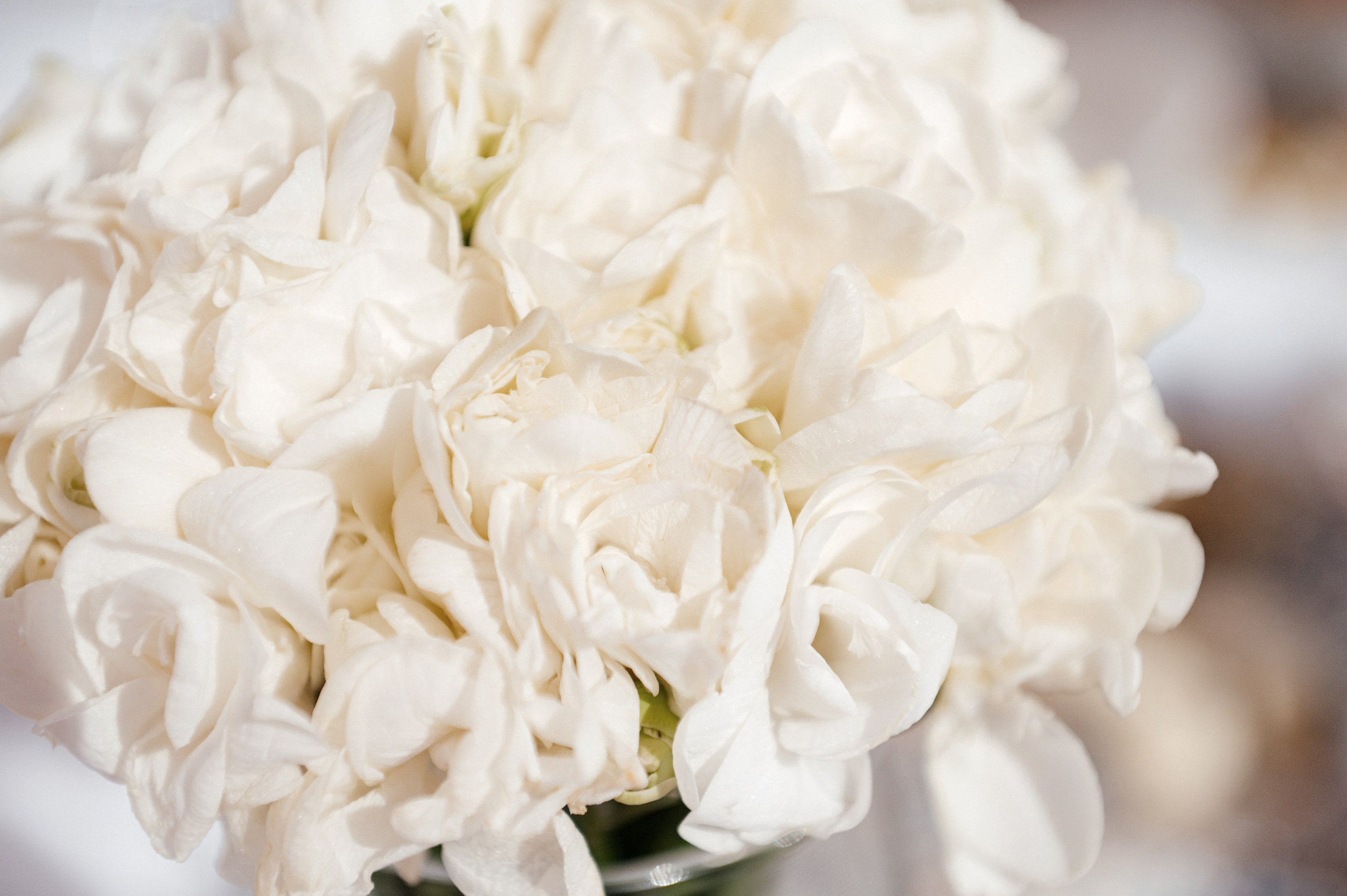 Свадьба в Ногинске должна быть такой!. Свадебный и семейный фотограф Виктория Носачёва. Щелково, Москва и МО