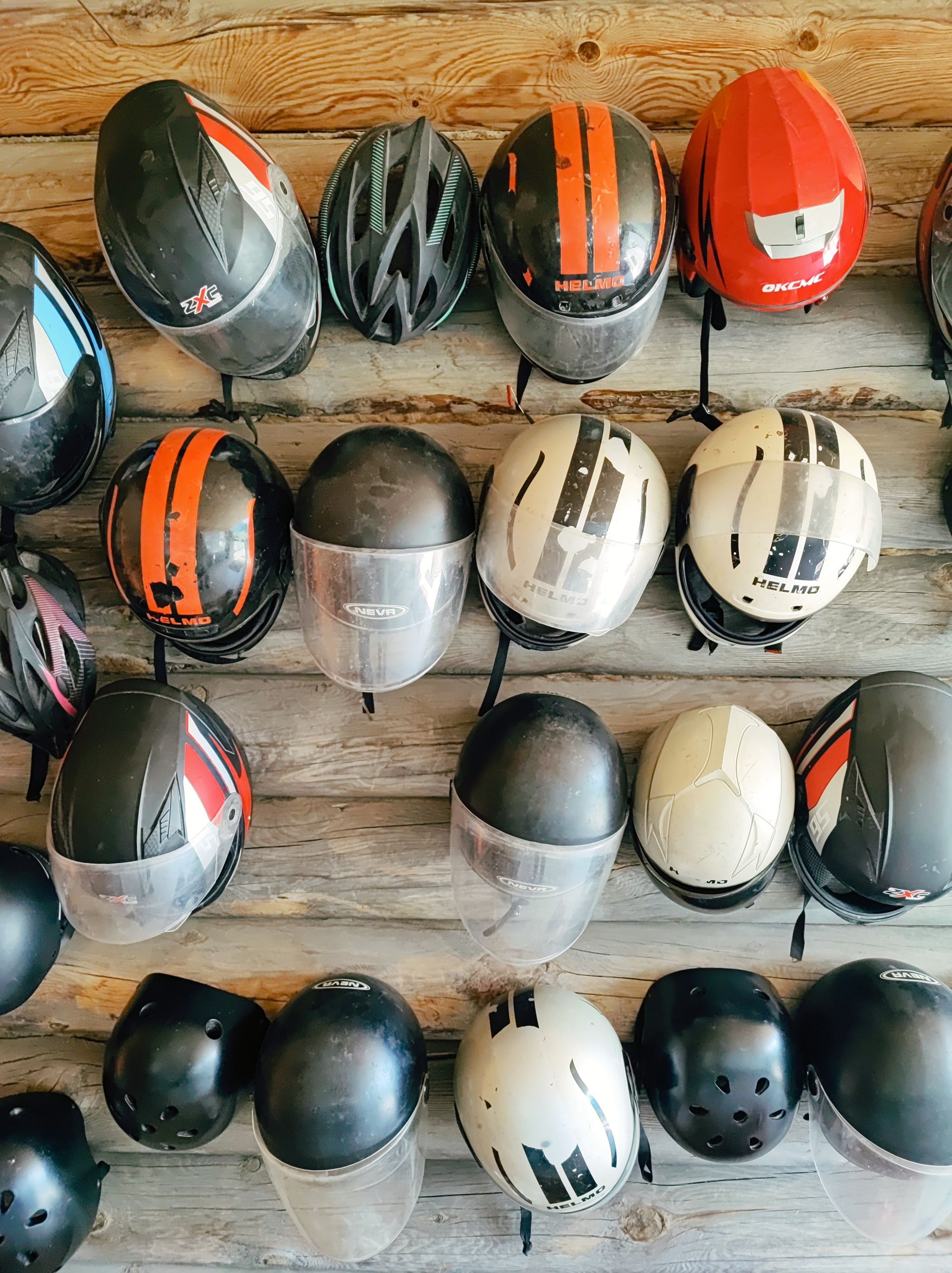 Намобилкус кавказский. Репортажный фотограф Алексей Пирязев