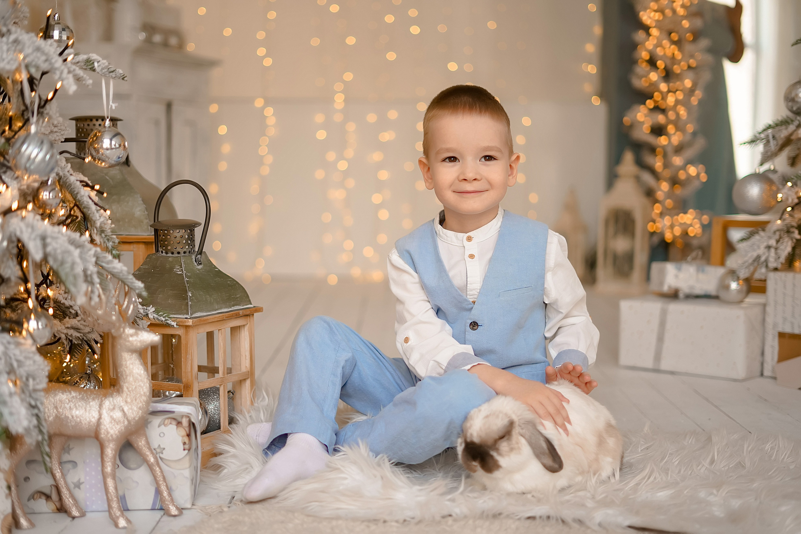 Happy new year. Фотограф Татьяна Митрофанова