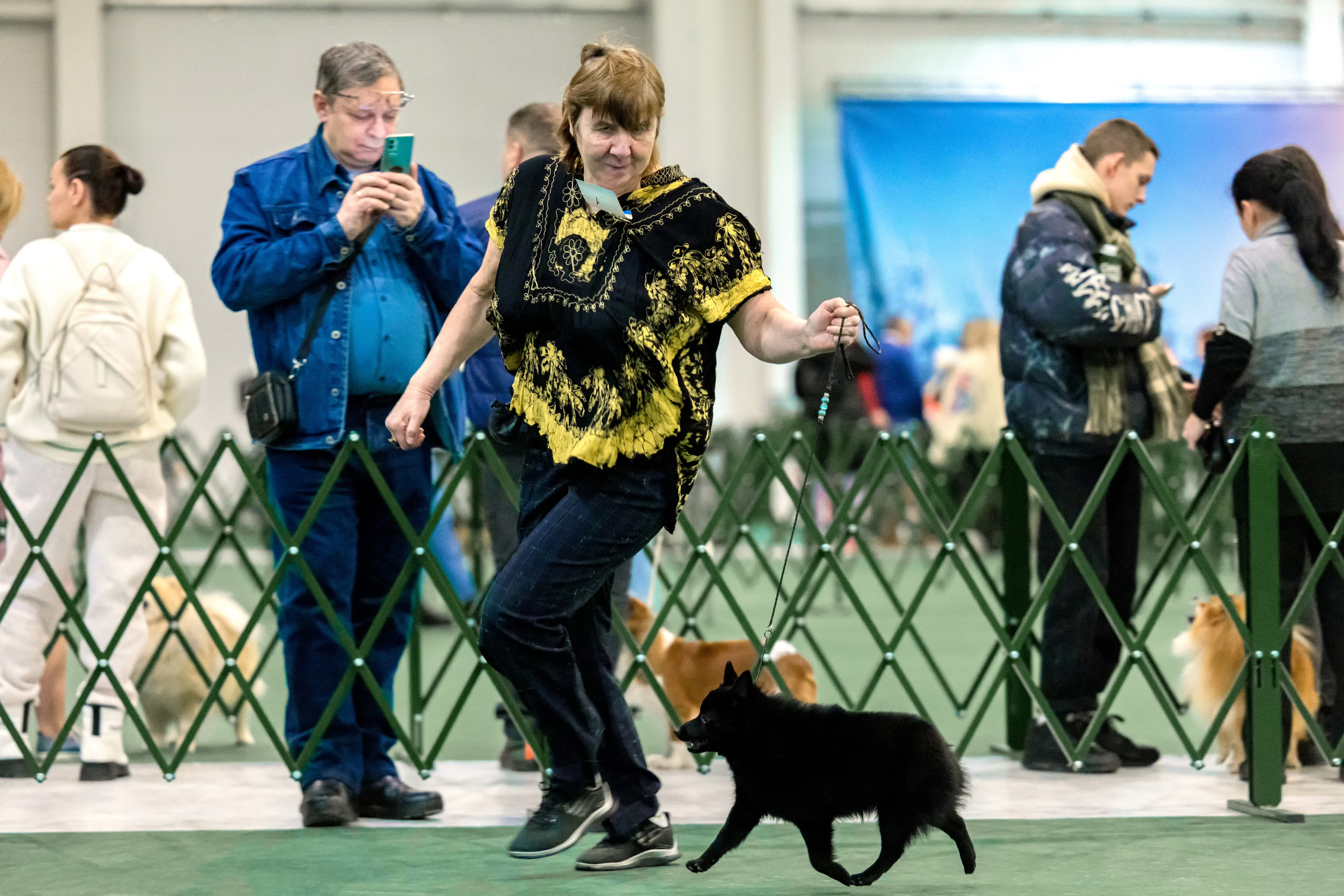 Крокус 3,9 и 10.12.2023. Фотограф-анималист Юлия Германика