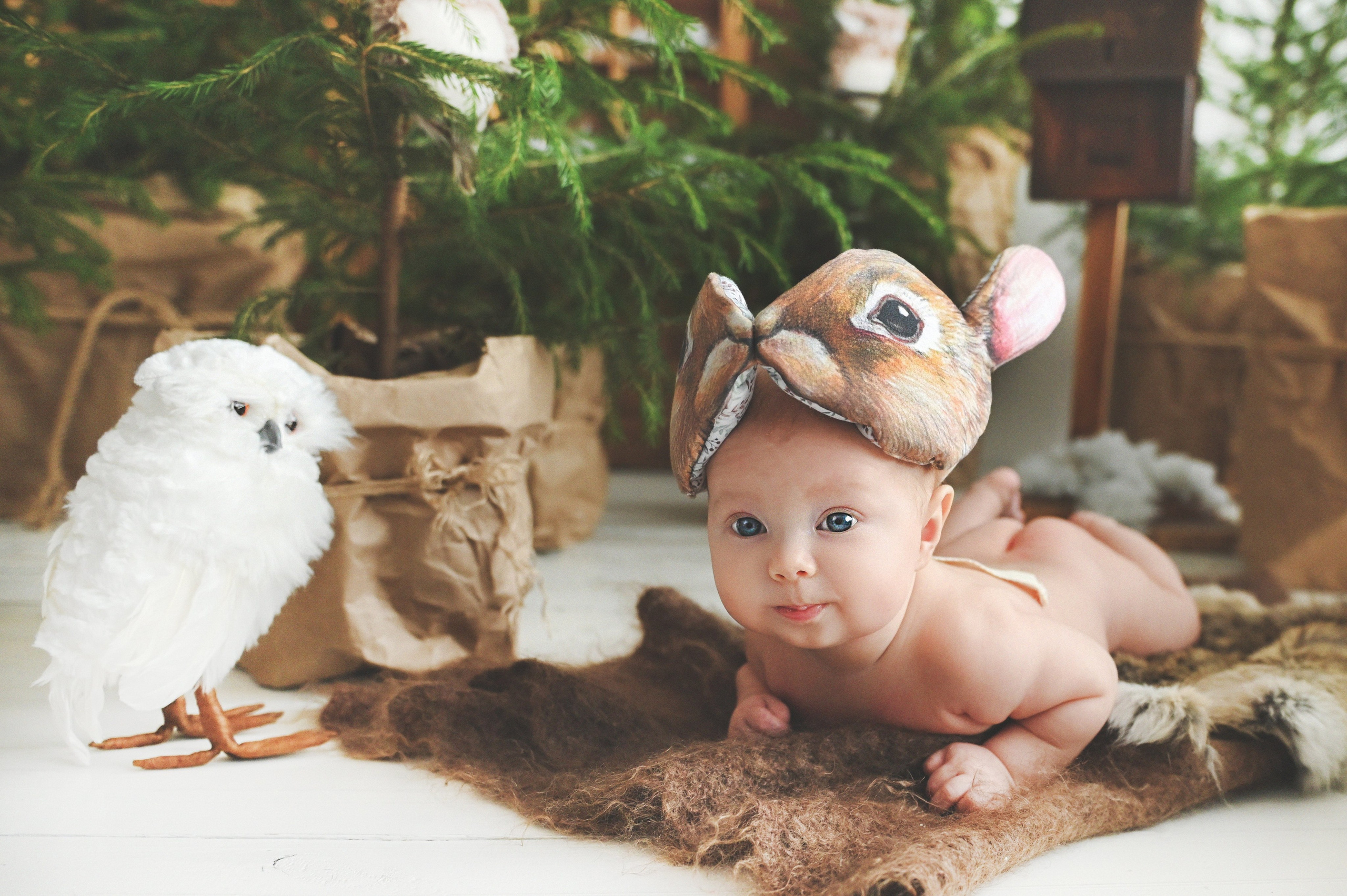 Новый год. Фотограф новорожденных и детей в Барнауле — Екатерина Шапкина