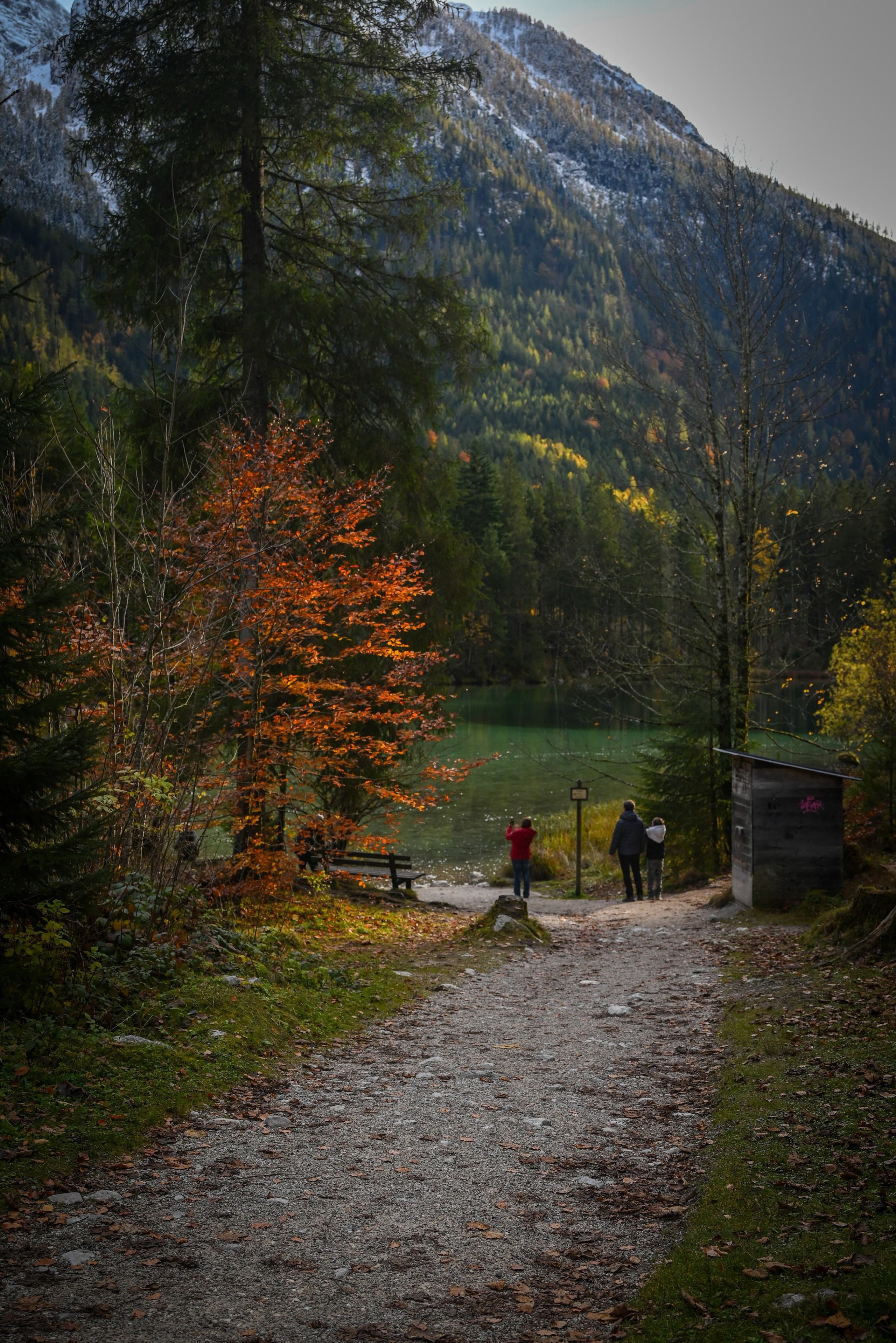 Nature. Андрей Пиотровский. Фотограф