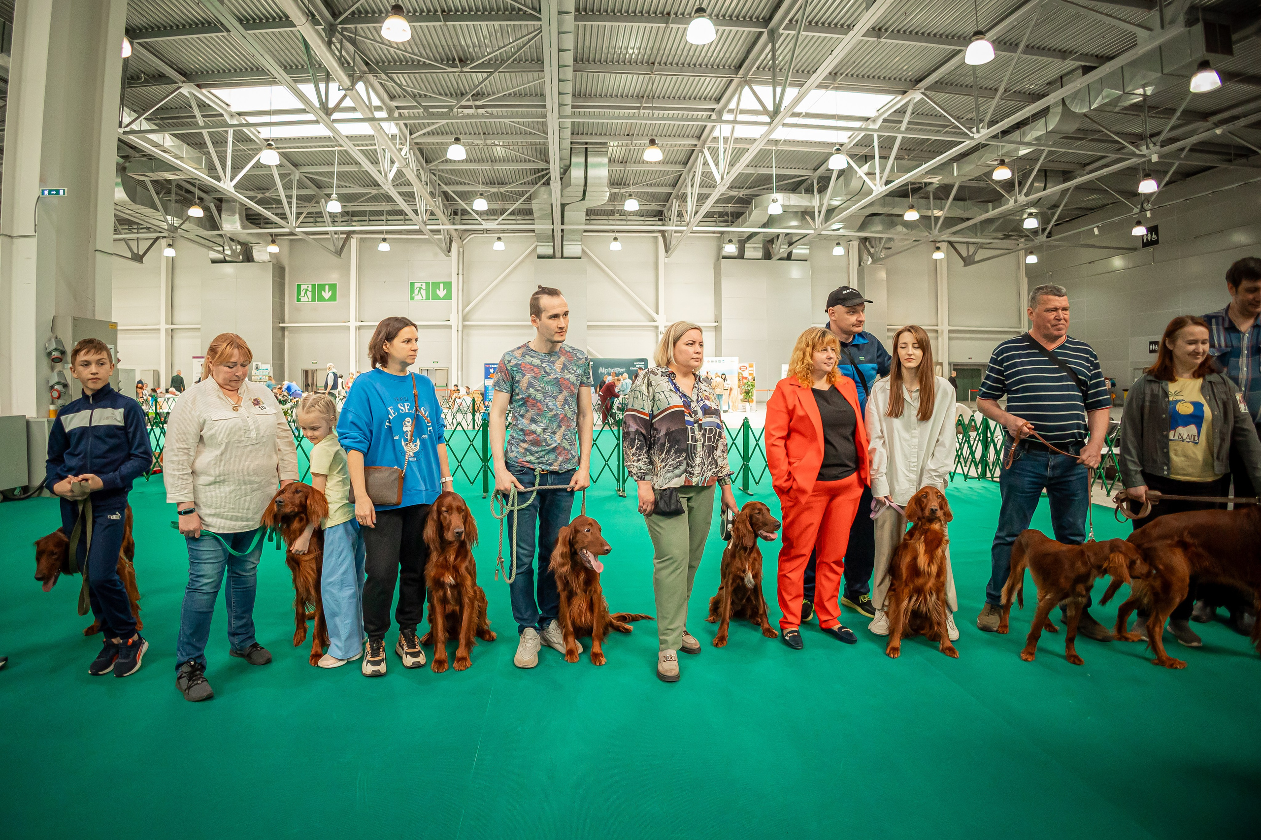 Выставка сеттеров 19.05.24