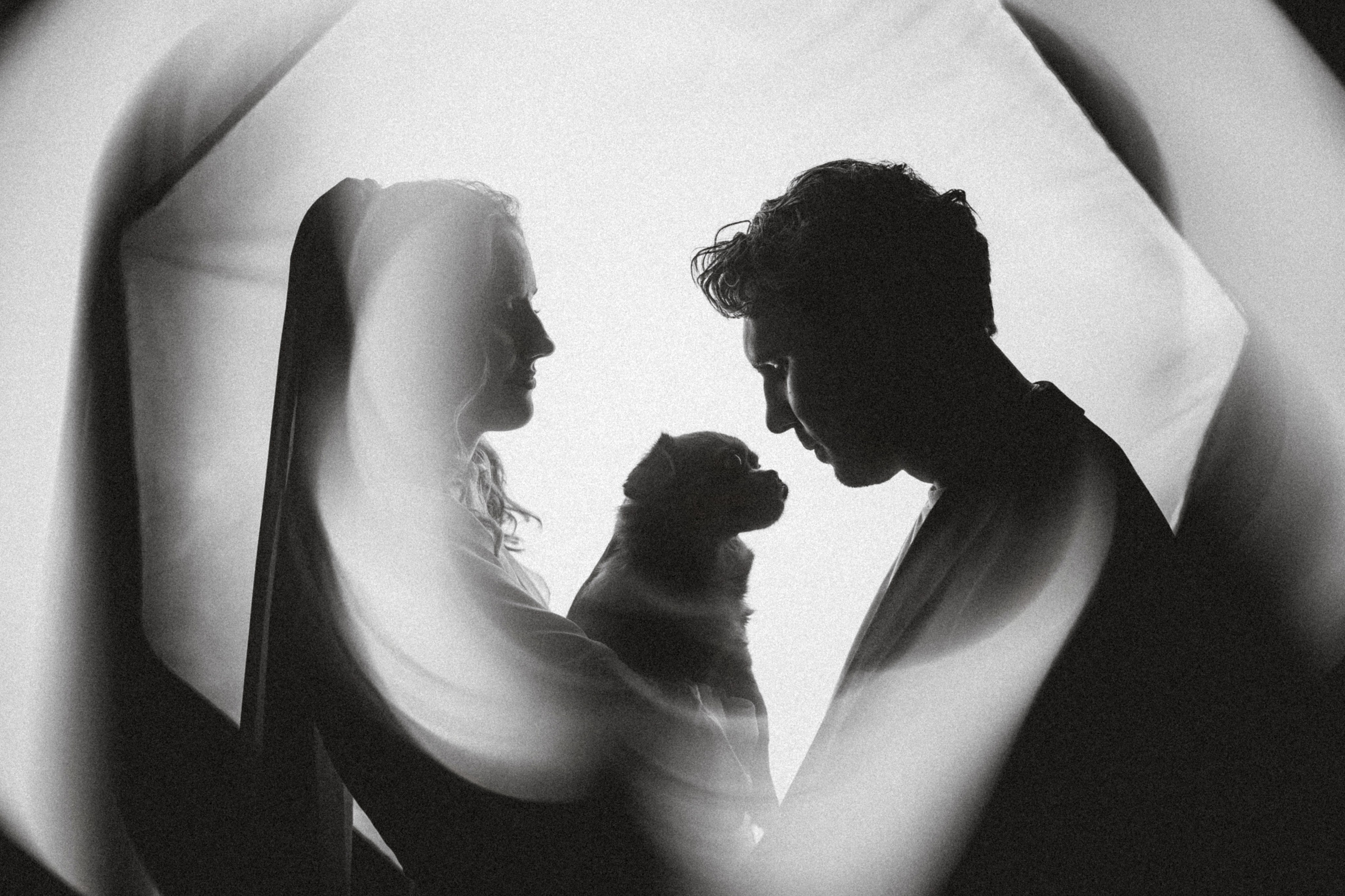 Денис, Василина, Гаврюша и Кнопка