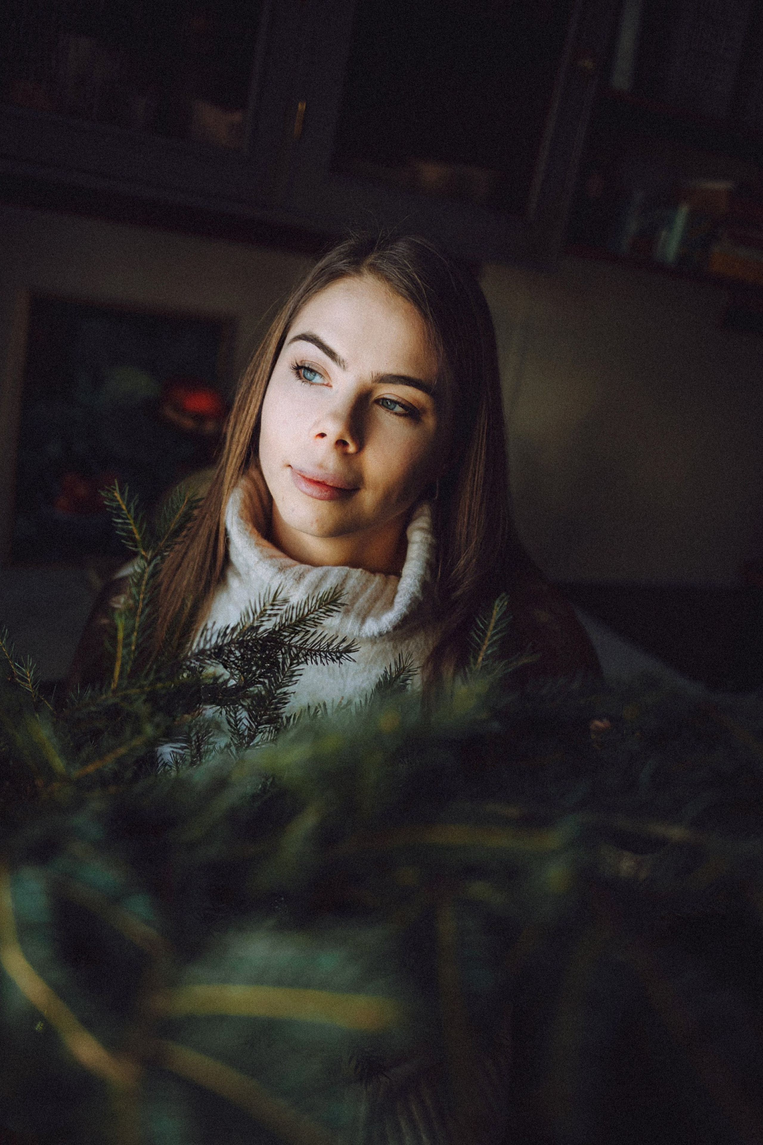 Плюш, Айса и их семья