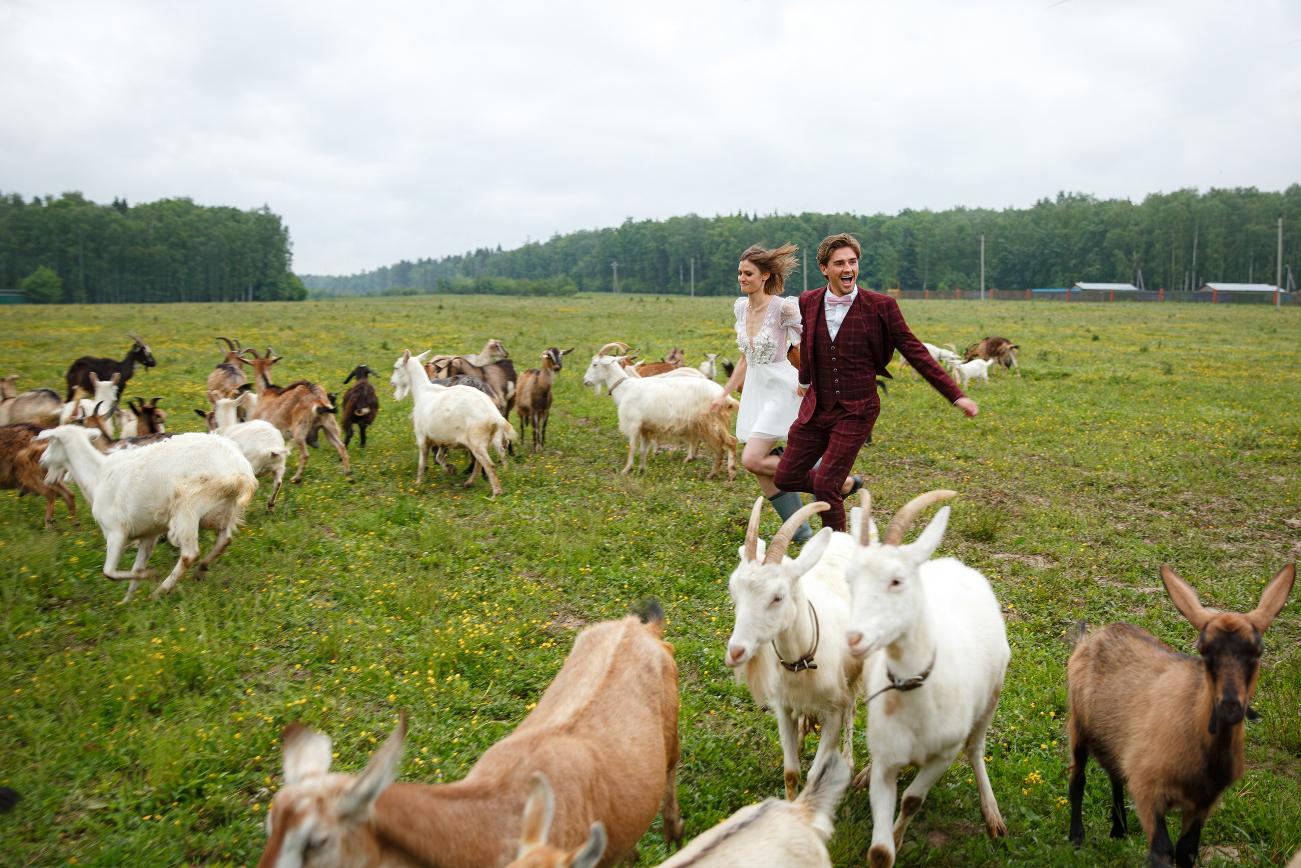 Адам и Нина (парк-отель Белые Аллеи). Свадебный фотограф Москва и МО Сергей Киржаев