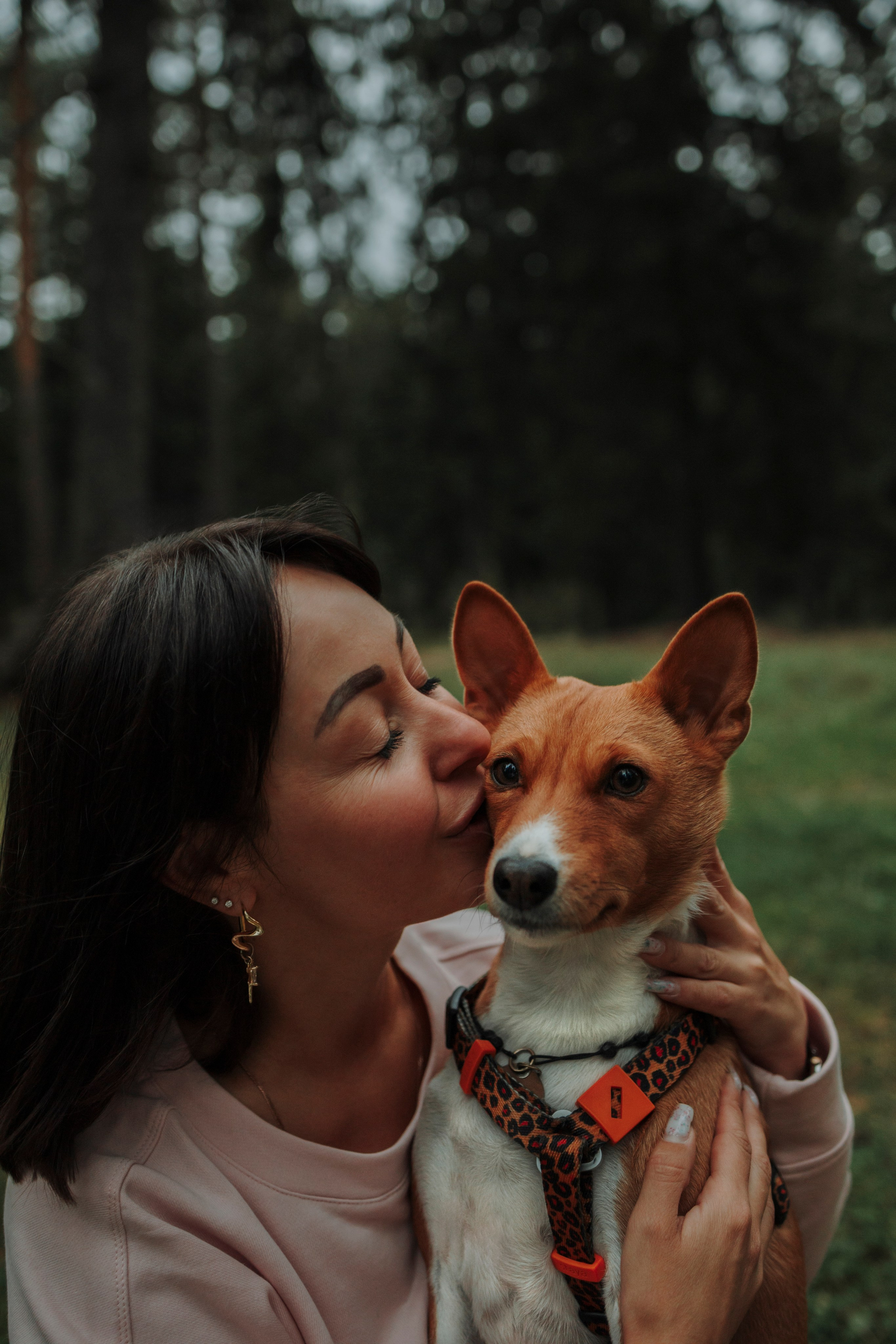 Даша и Лора. Фотограф-анималист в Санкт-Петеребурге Титова Алиса