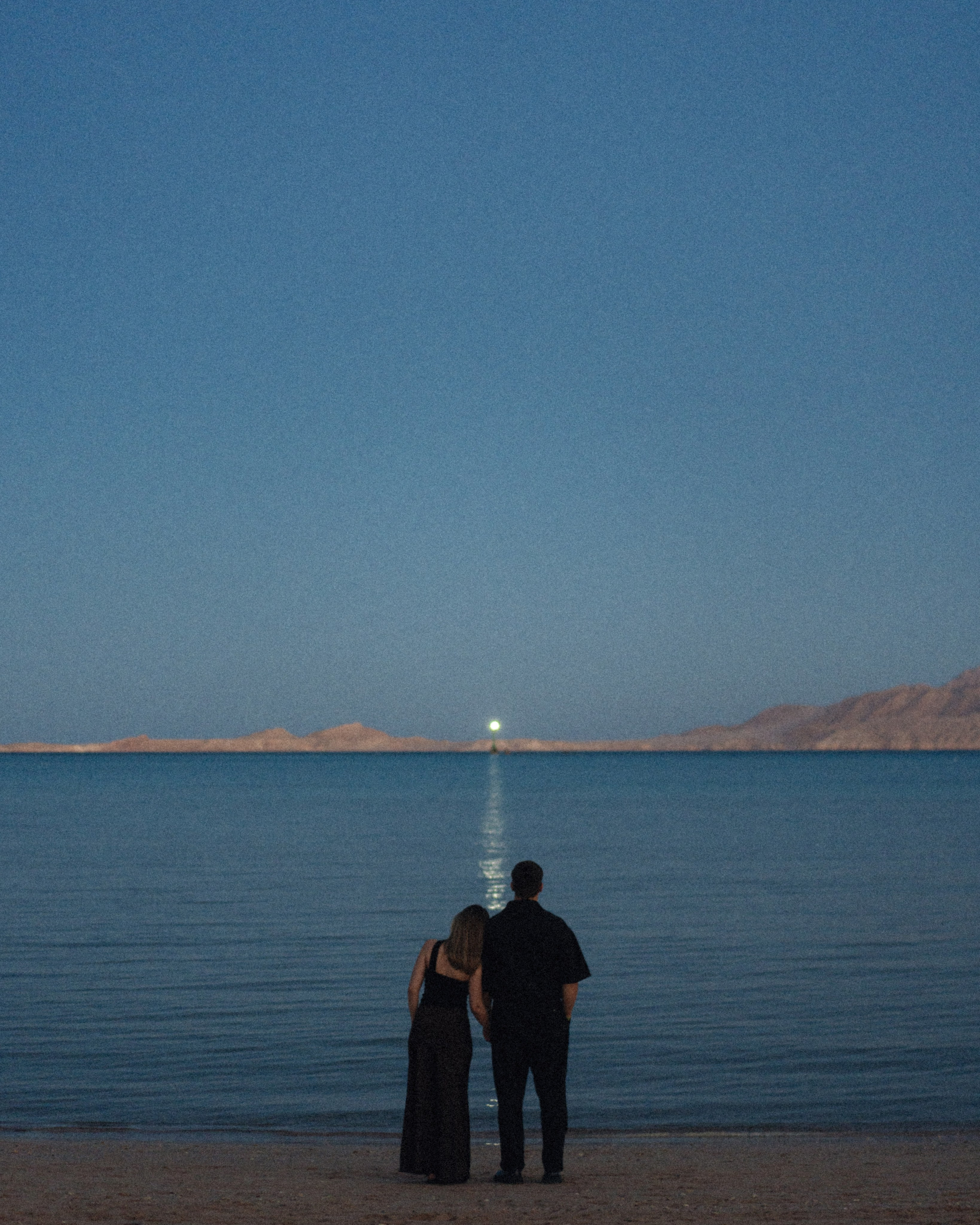 Арабика. Никита Погосов