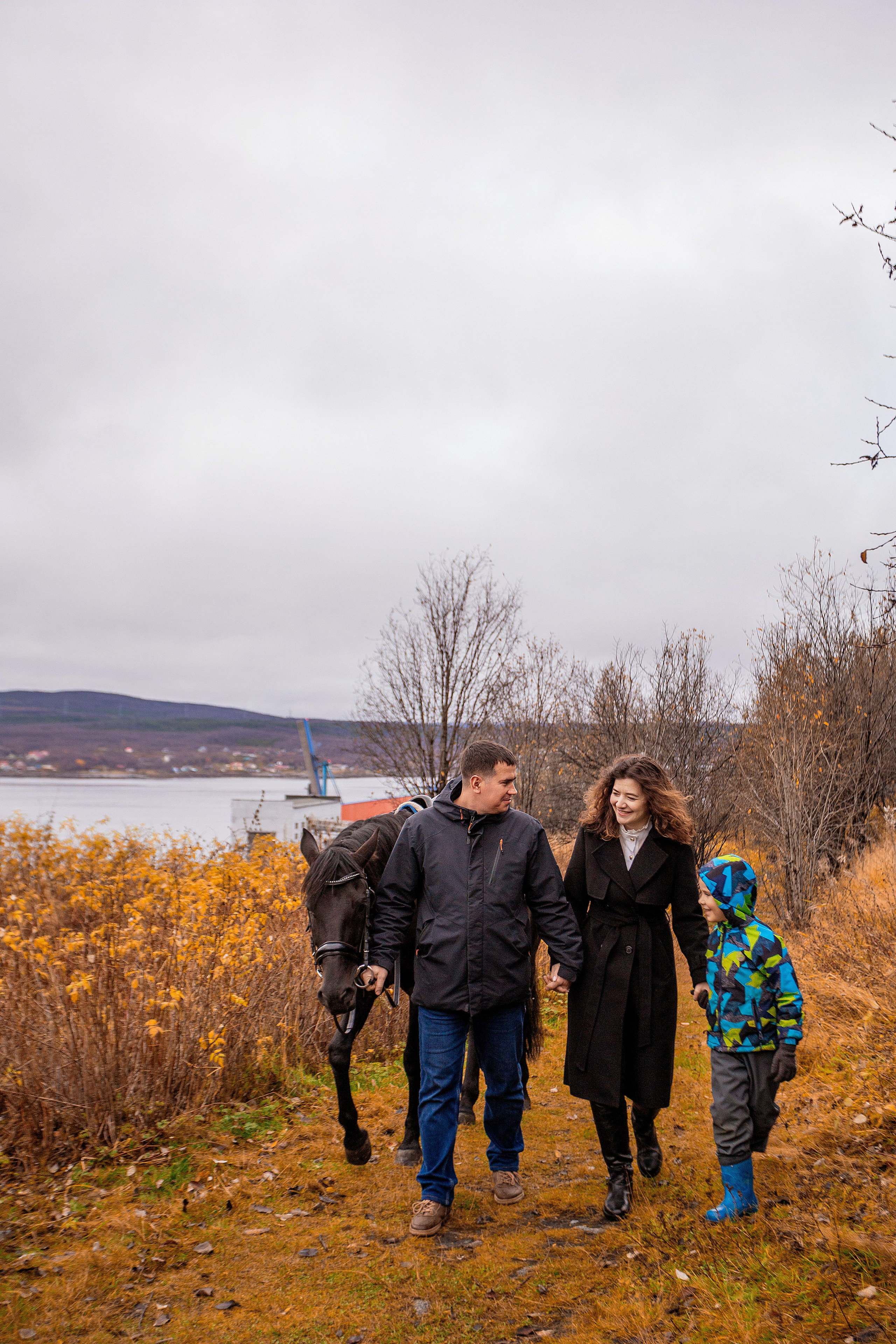 Horses. Фотограф Мурманск Лилия Маер