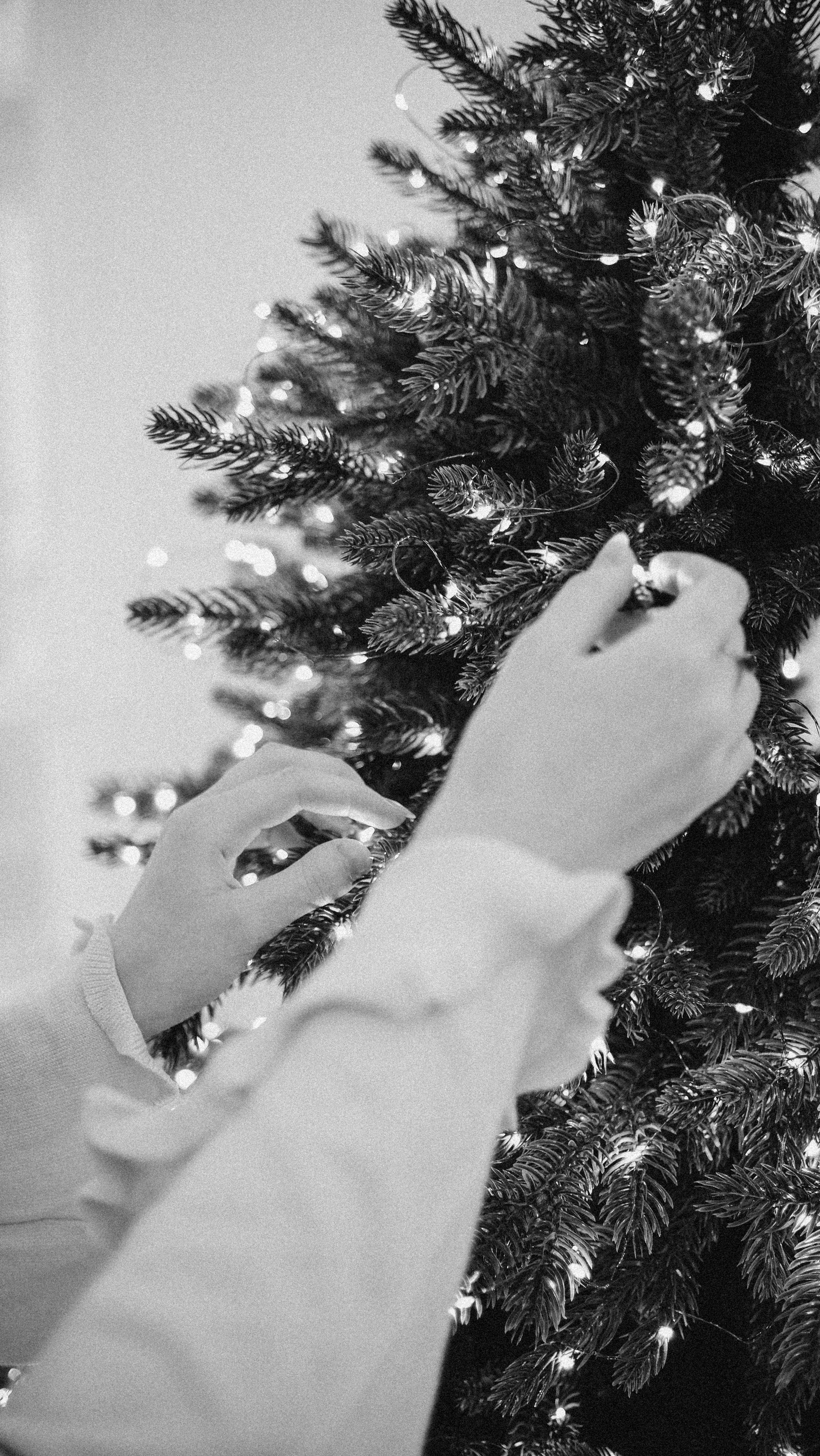 Анжелика & Даня. Phdkvmr.ru