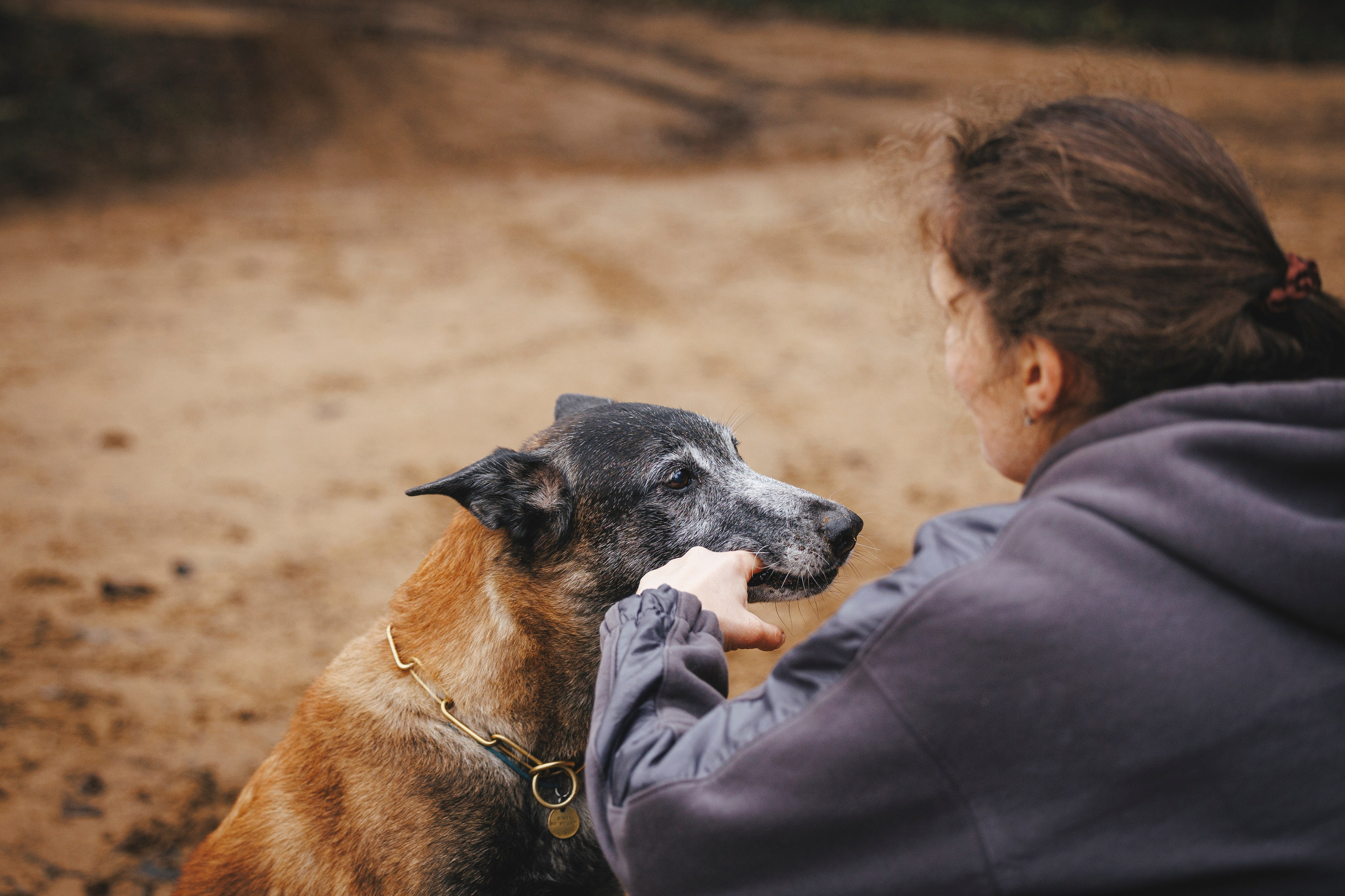 Омен, Айс и Рицу. Фотограф-анималист Анна Маринич