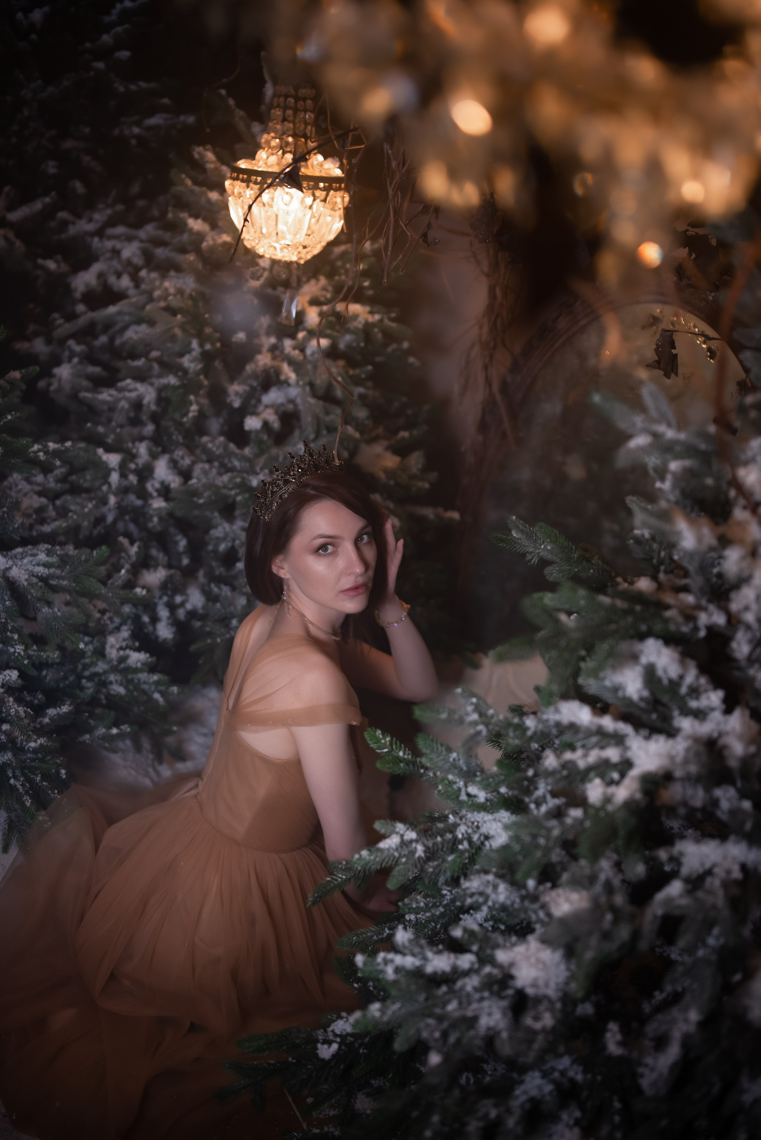 New Year. Фотограф Тювина Виктория