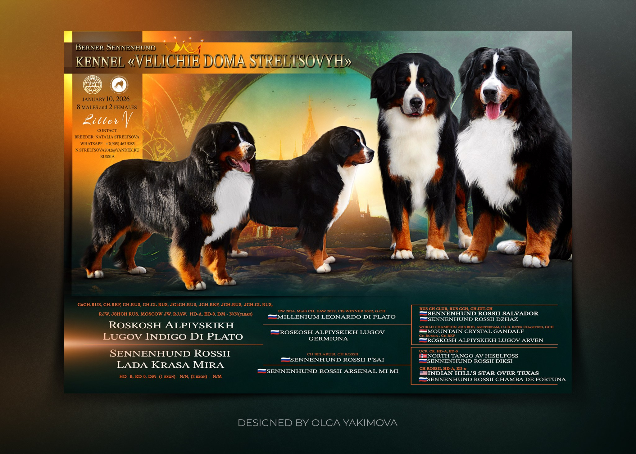 Animal presentation. Фотограф