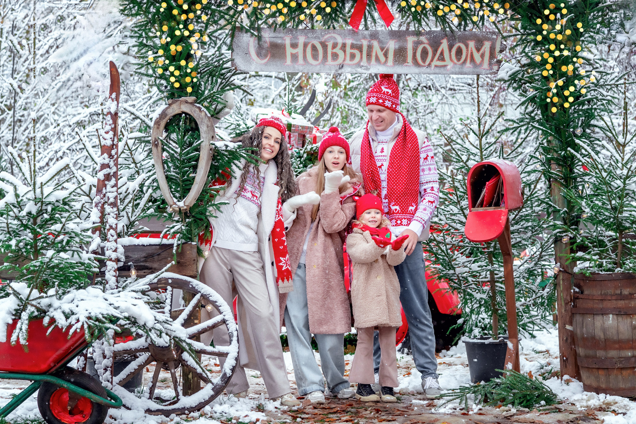НОВЫЙ ГОД и Рождество УЛИЧНЫЕ локации. Фотограф Алина Лебедь