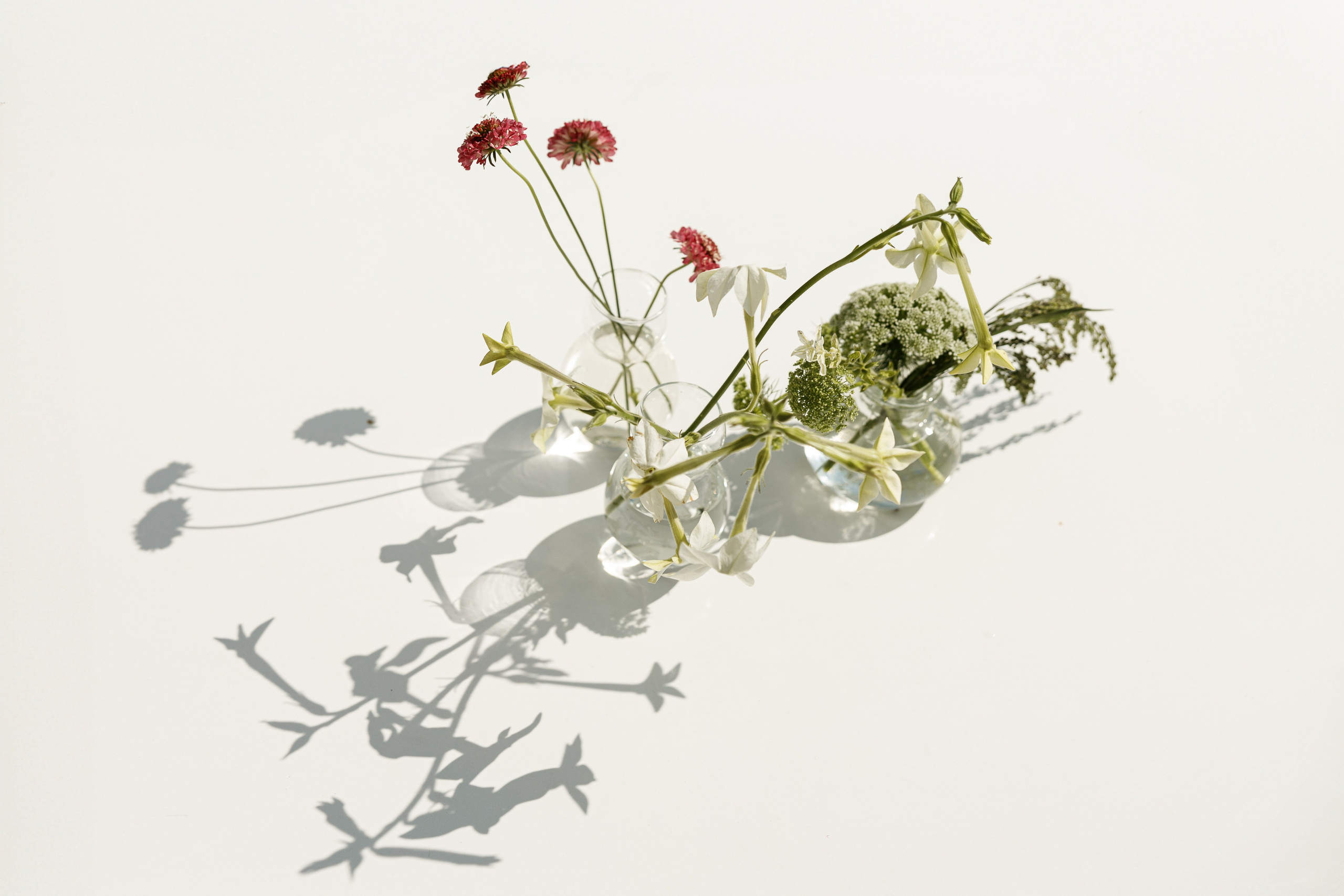 K & D. Свадебный и event-фотограф Иван Волнухин