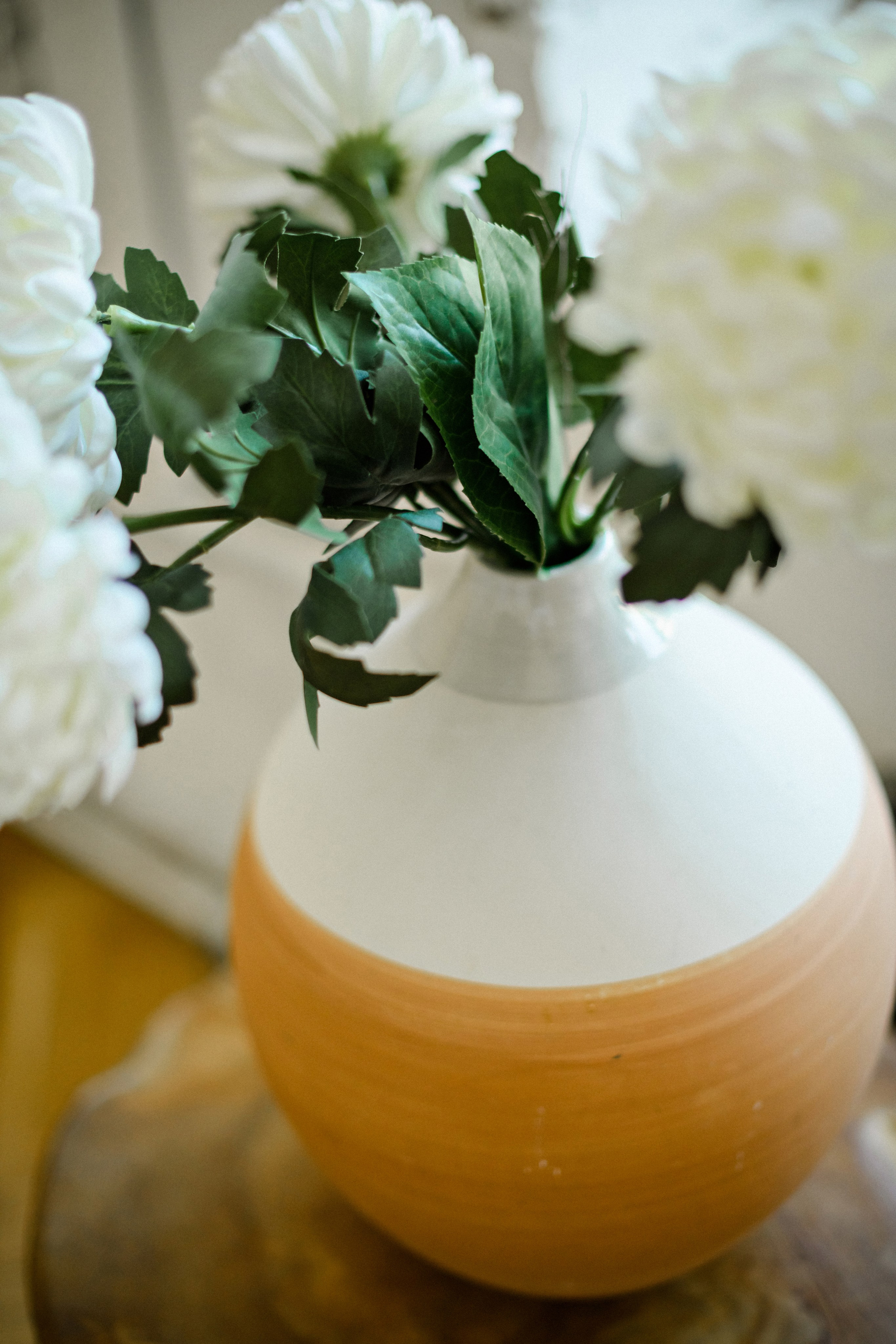 Лазерная эпиляция. Свадебный фотограф в Санкт-Петербурге София Шубик