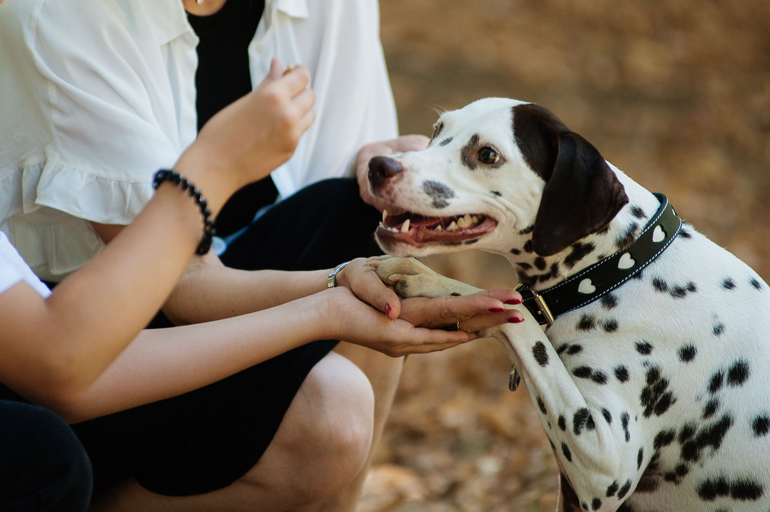 Семья Тимофеевых. Фотограф на Таинство Венчания и Крещения в Краснодаре Абрамова Людмила
