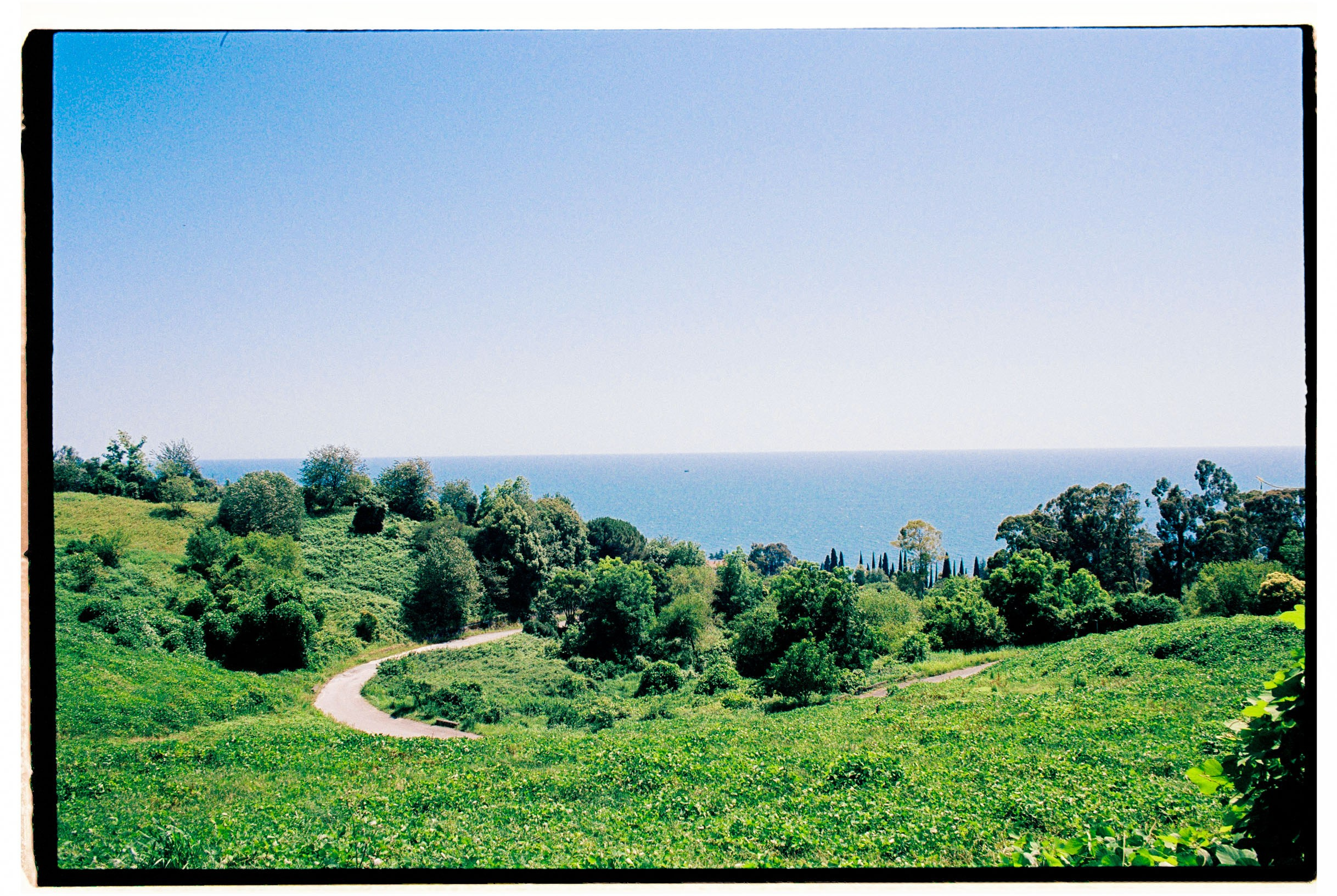 Abkhazia-2023. Никита Демидов. Nikita Demidov