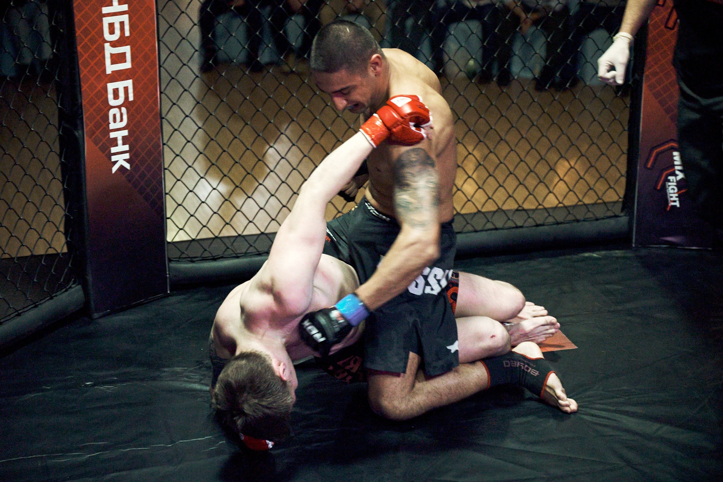 Бои. Маляревич Дмитрий свадебный фотограф