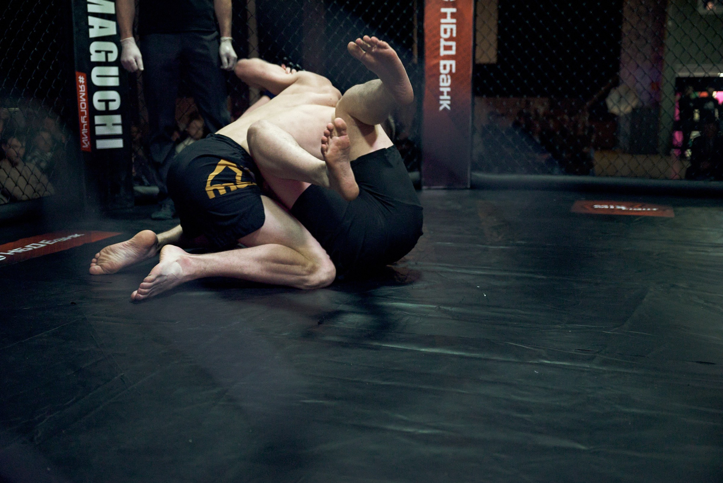 Бои. Маляревич Дмитрий свадебный фотограф